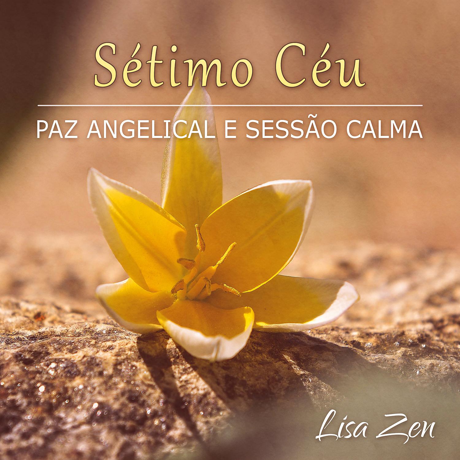 Постер альбома Sétimo Céu: Paz Angelical e Sessão Calma