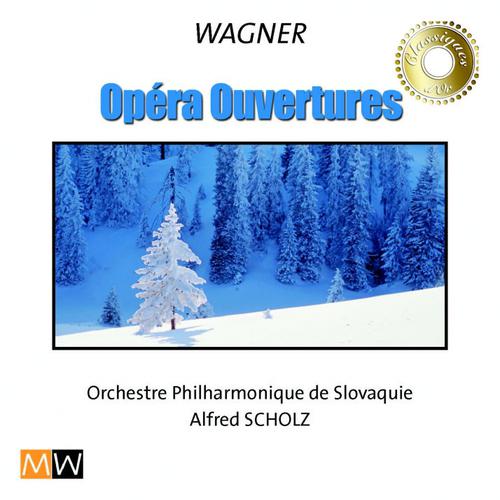 Постер альбома Opera Ouvertures