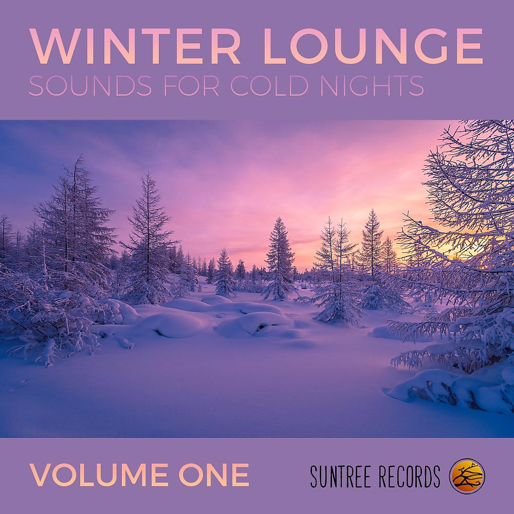 Постер альбома Winter Lounge