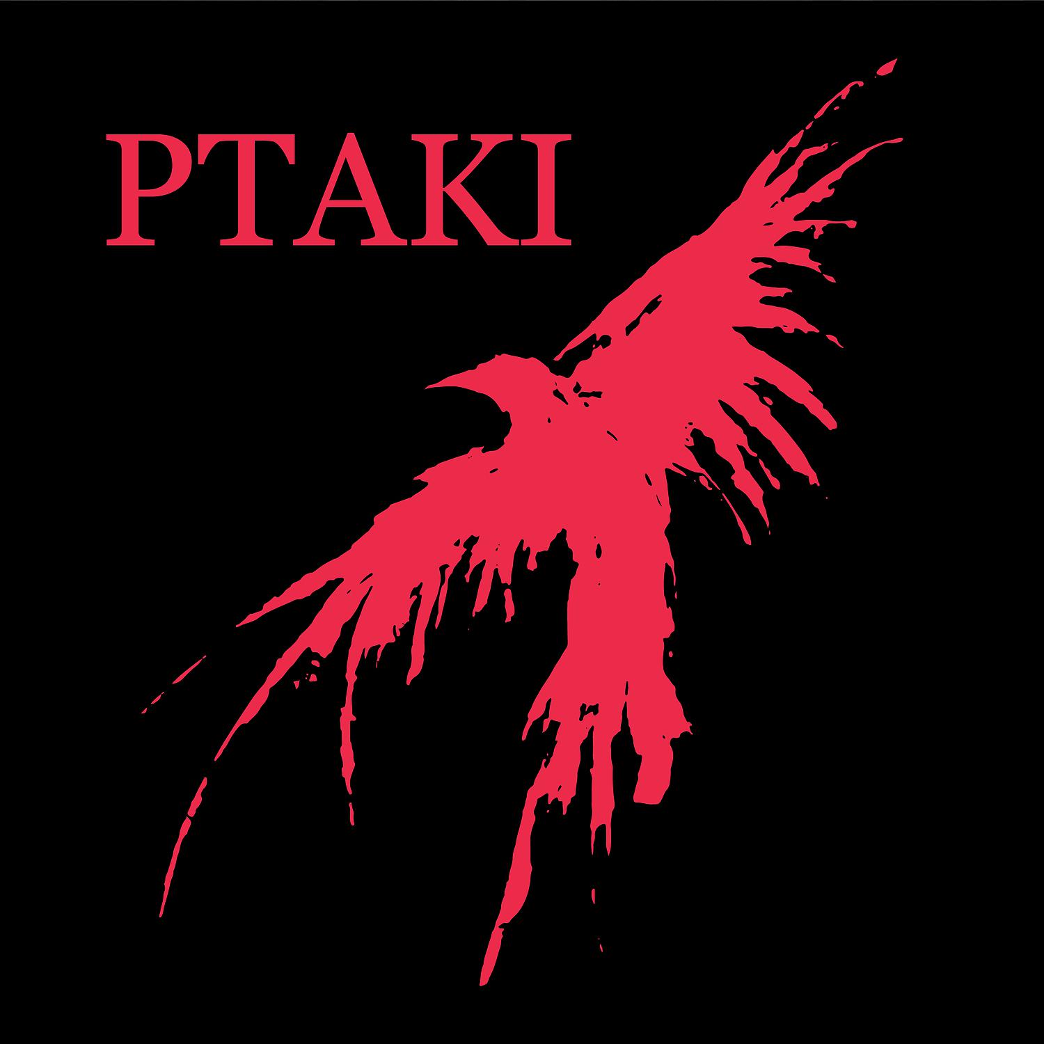 Постер альбома Ptaki