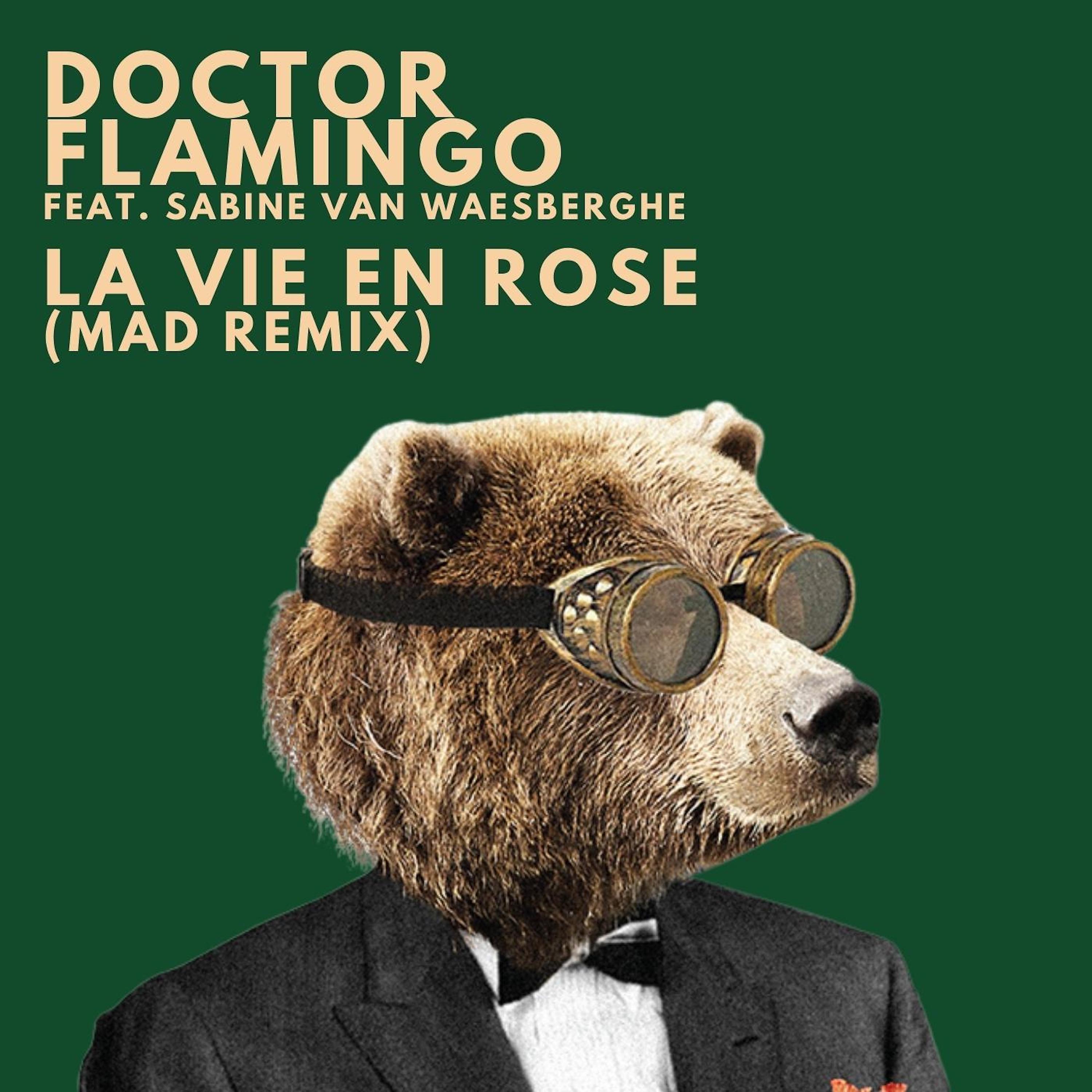 Постер альбома La Vie en Rose (Mad Remix)