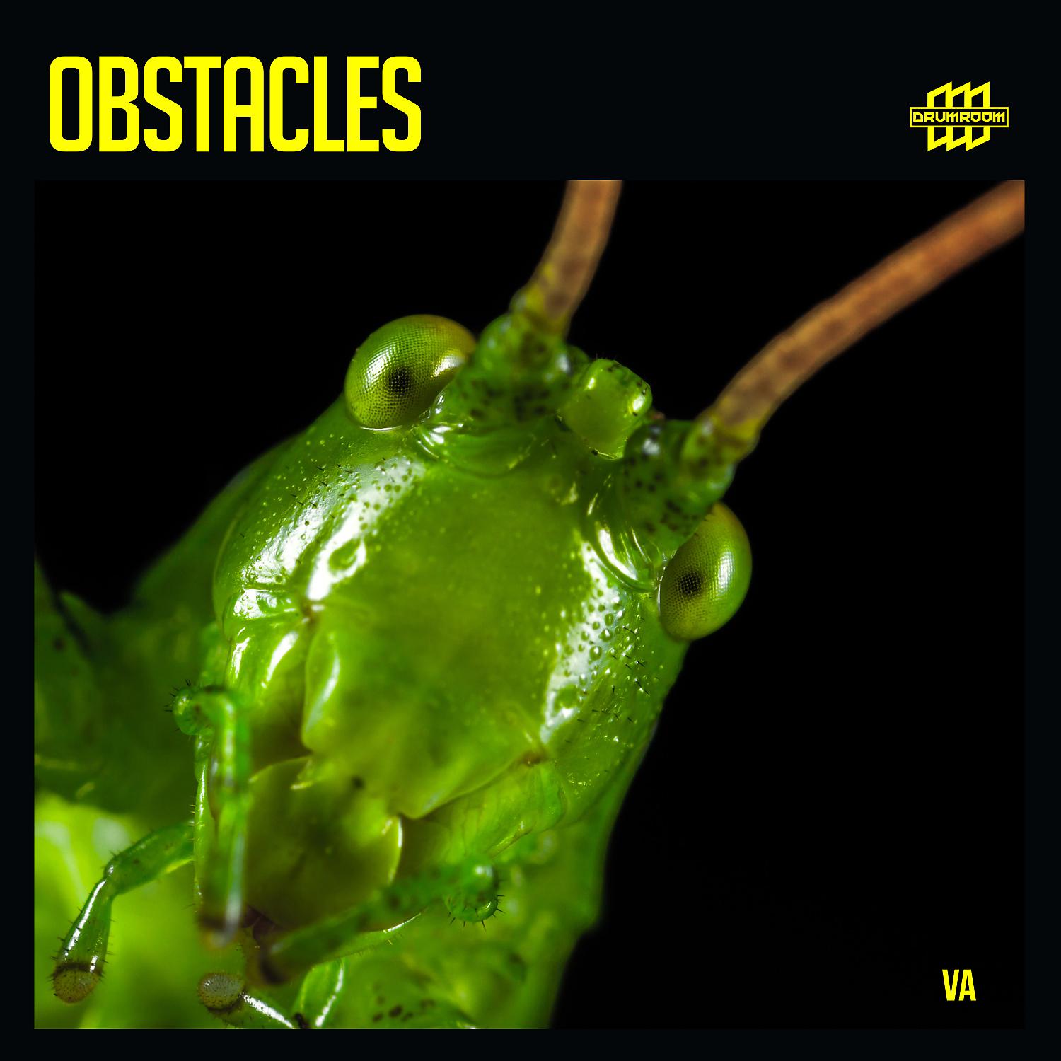 Постер альбома Obstacles