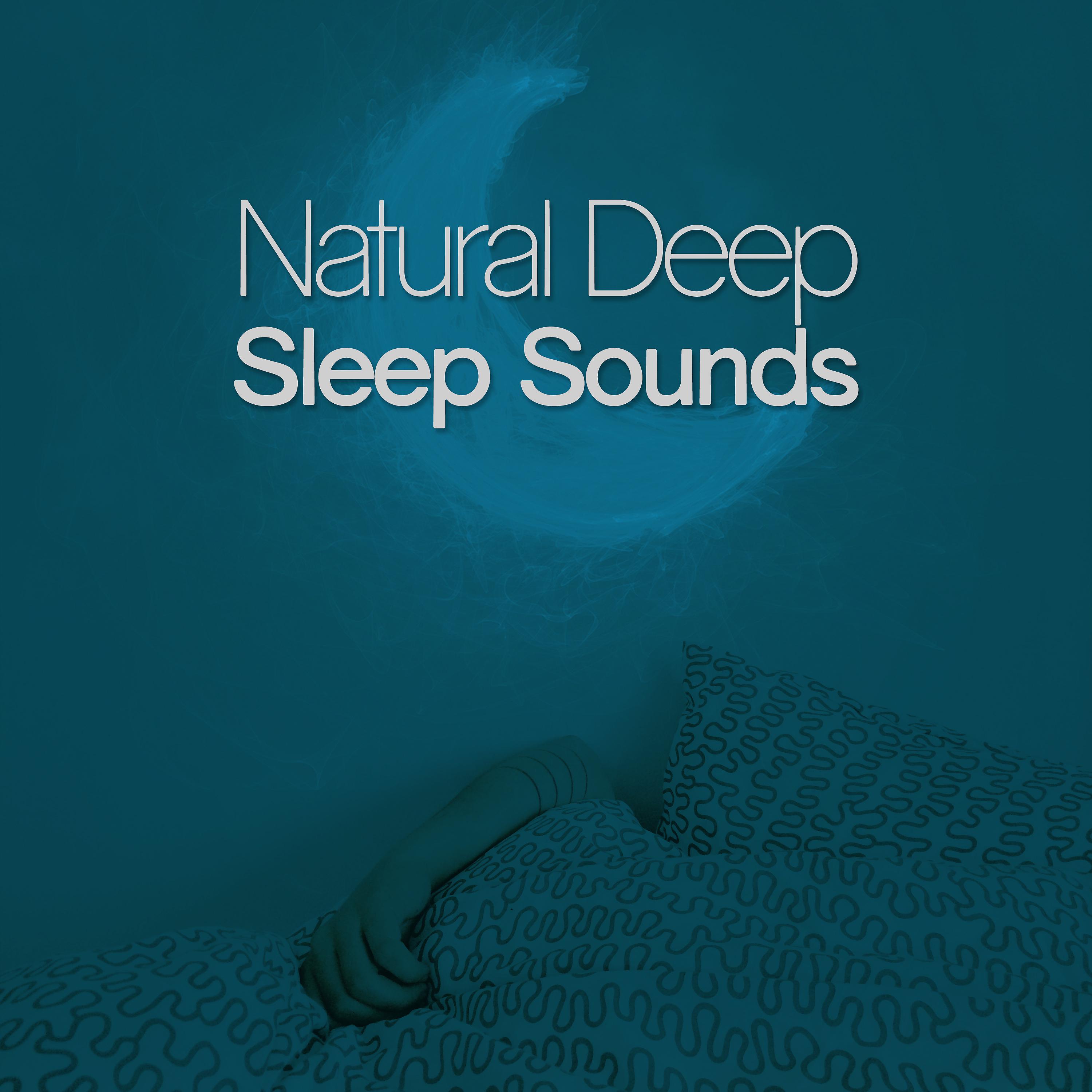 Постер альбома Natural Deep Sleep Sounds