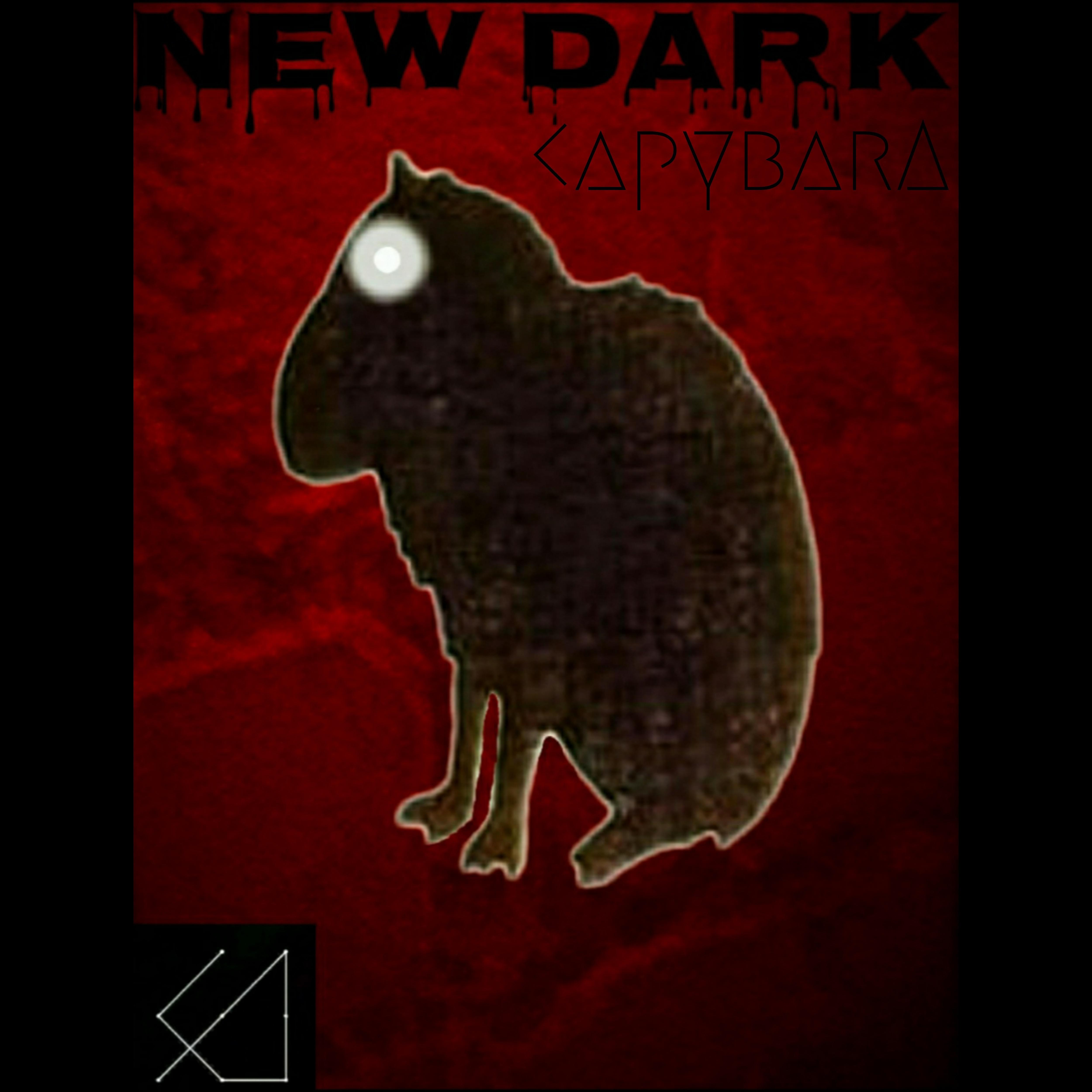 Постер альбома New Dark