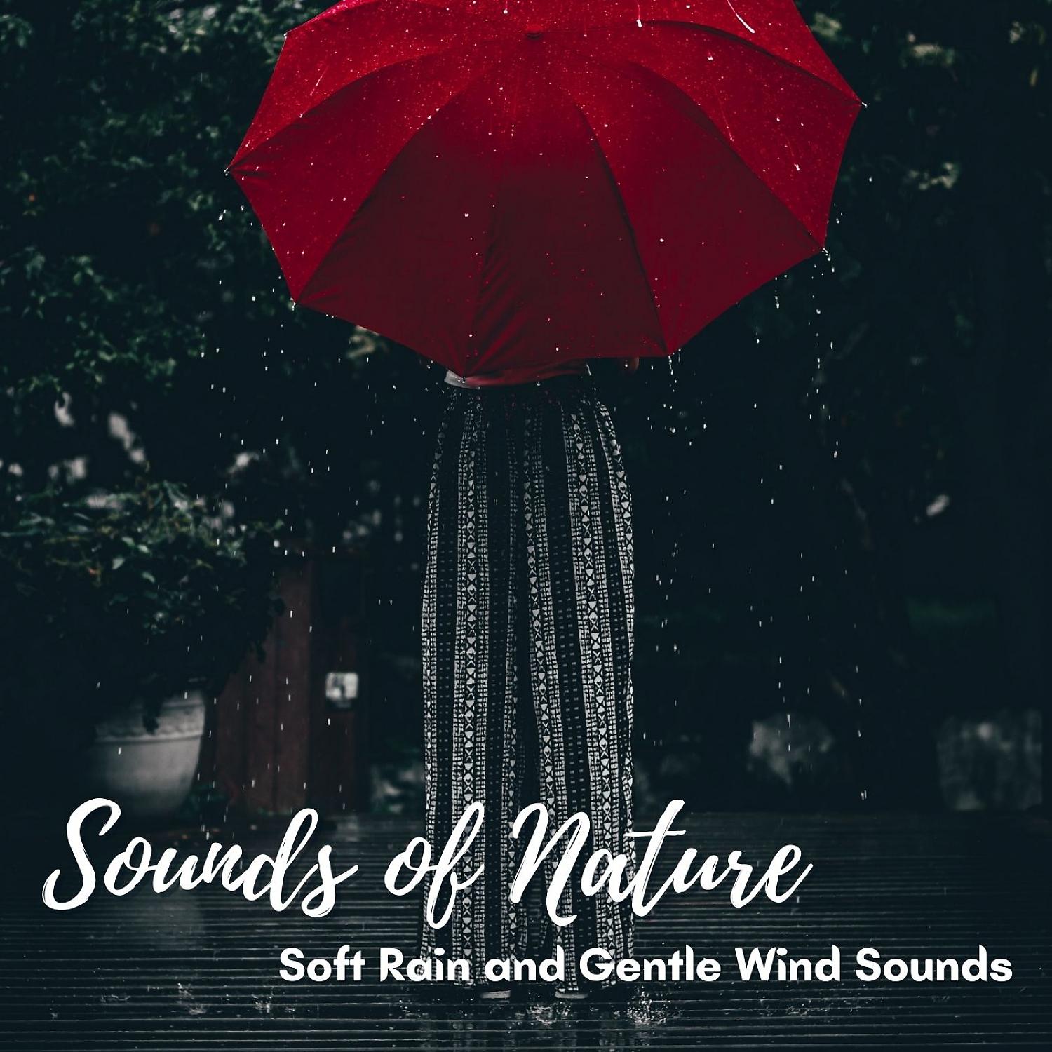 Постер альбома Sounds of Nature: Soft Rain and Gentle Wind Sounds