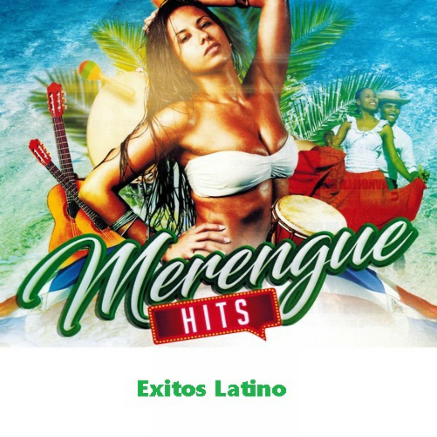 Постер альбома Merengue Hits e Éxitos Latino
