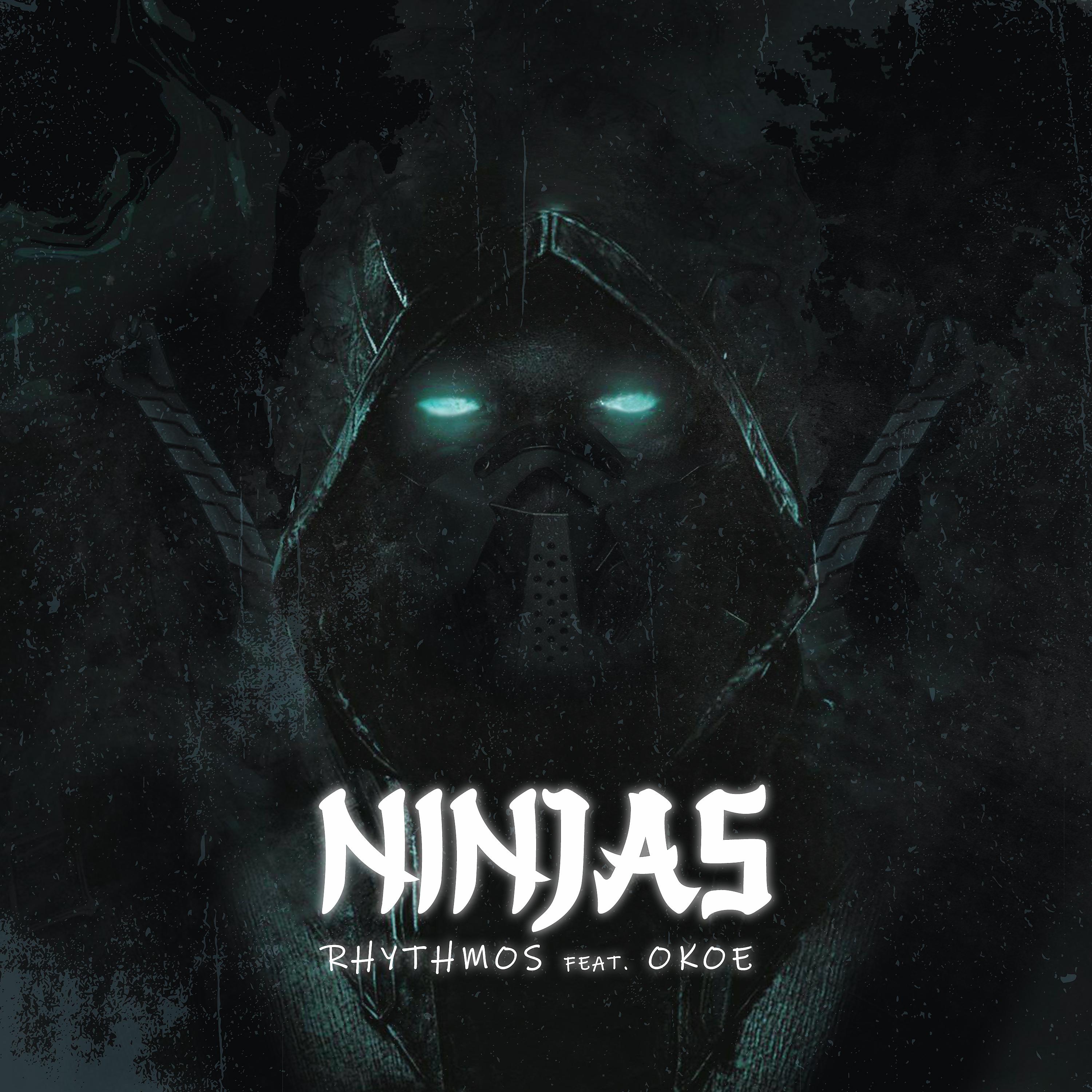 Постер альбома Ninjas