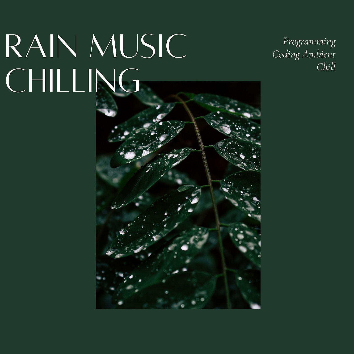 Постер альбома Rain Music Chilling