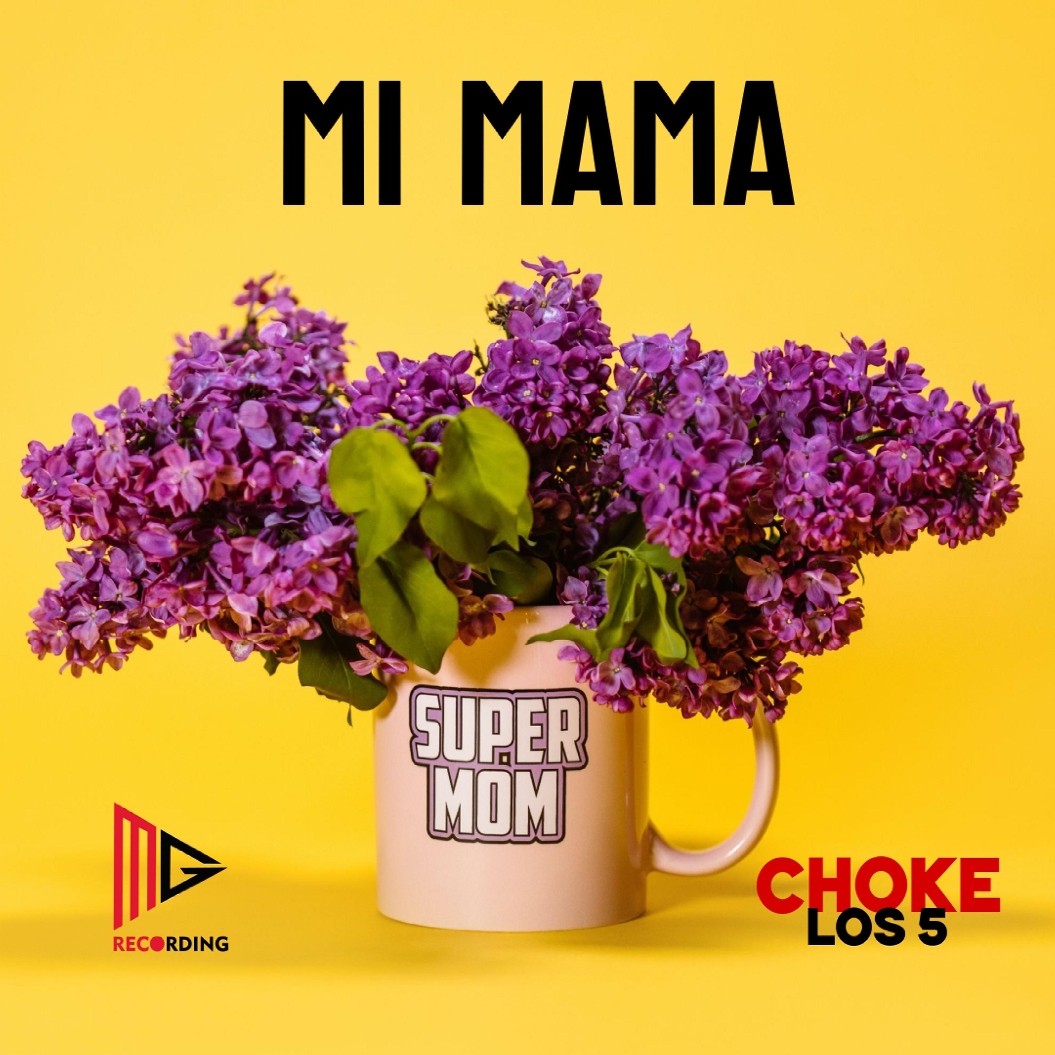 Постер альбома Mi Mama