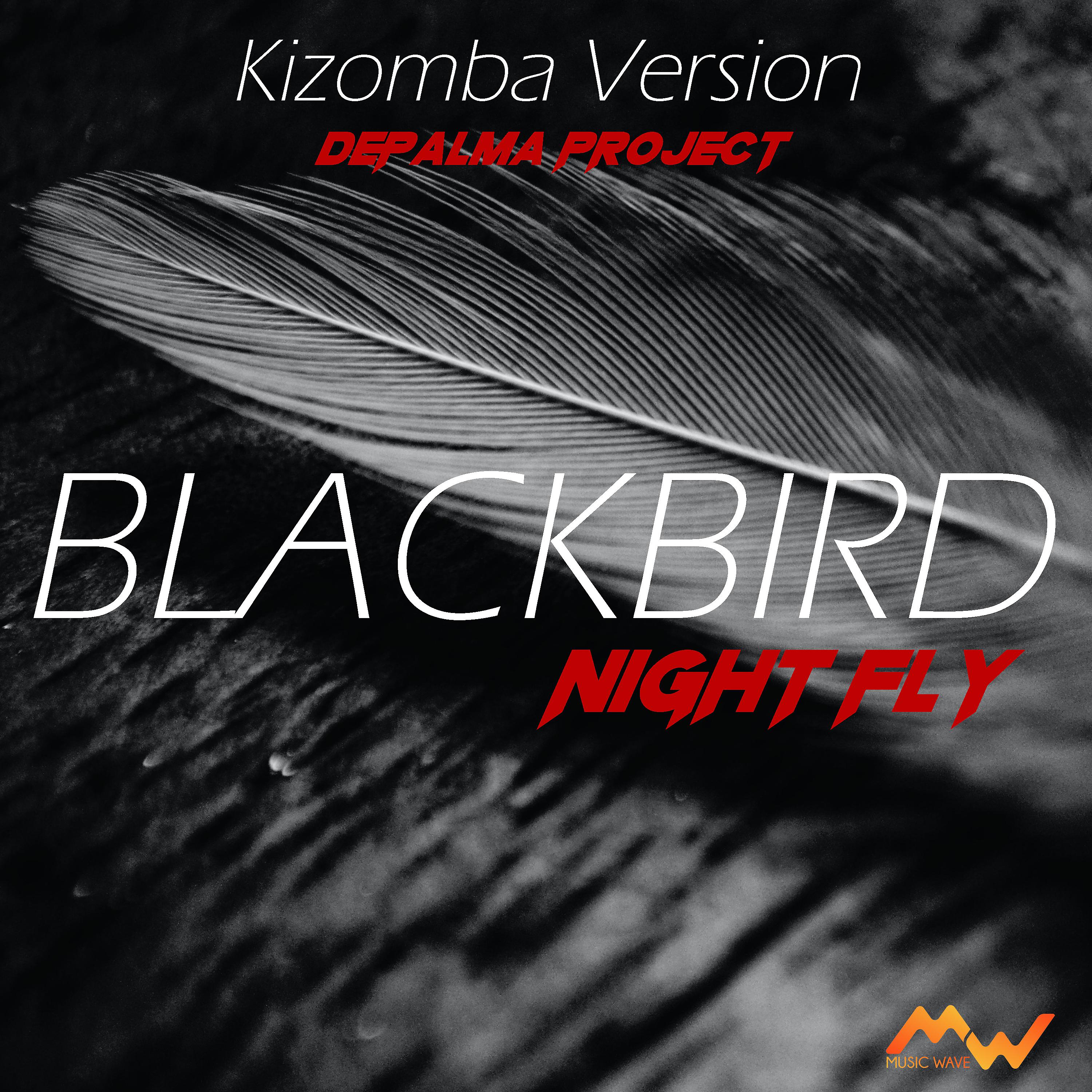Постер альбома Blackbird / Night Fly
