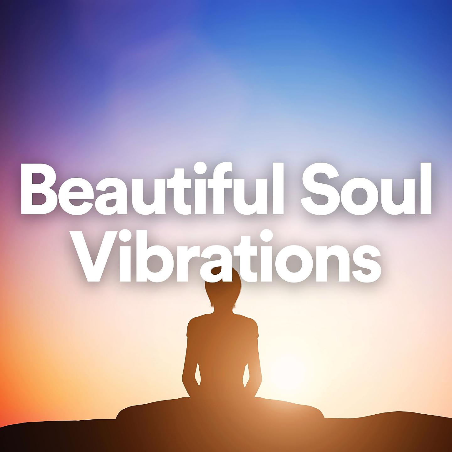 Постер альбома Beautiful Soul Vibrations
