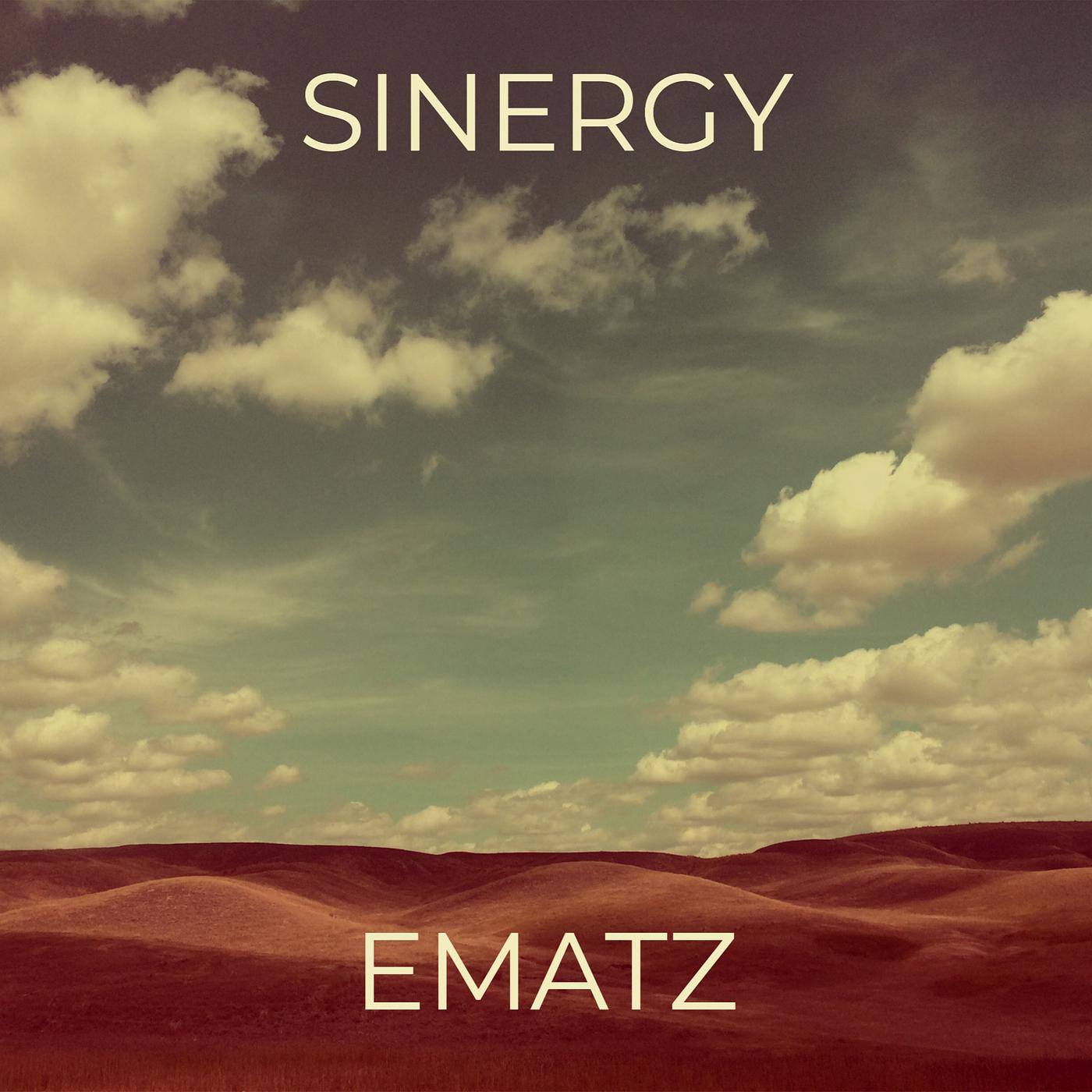 Постер альбома Sinergy