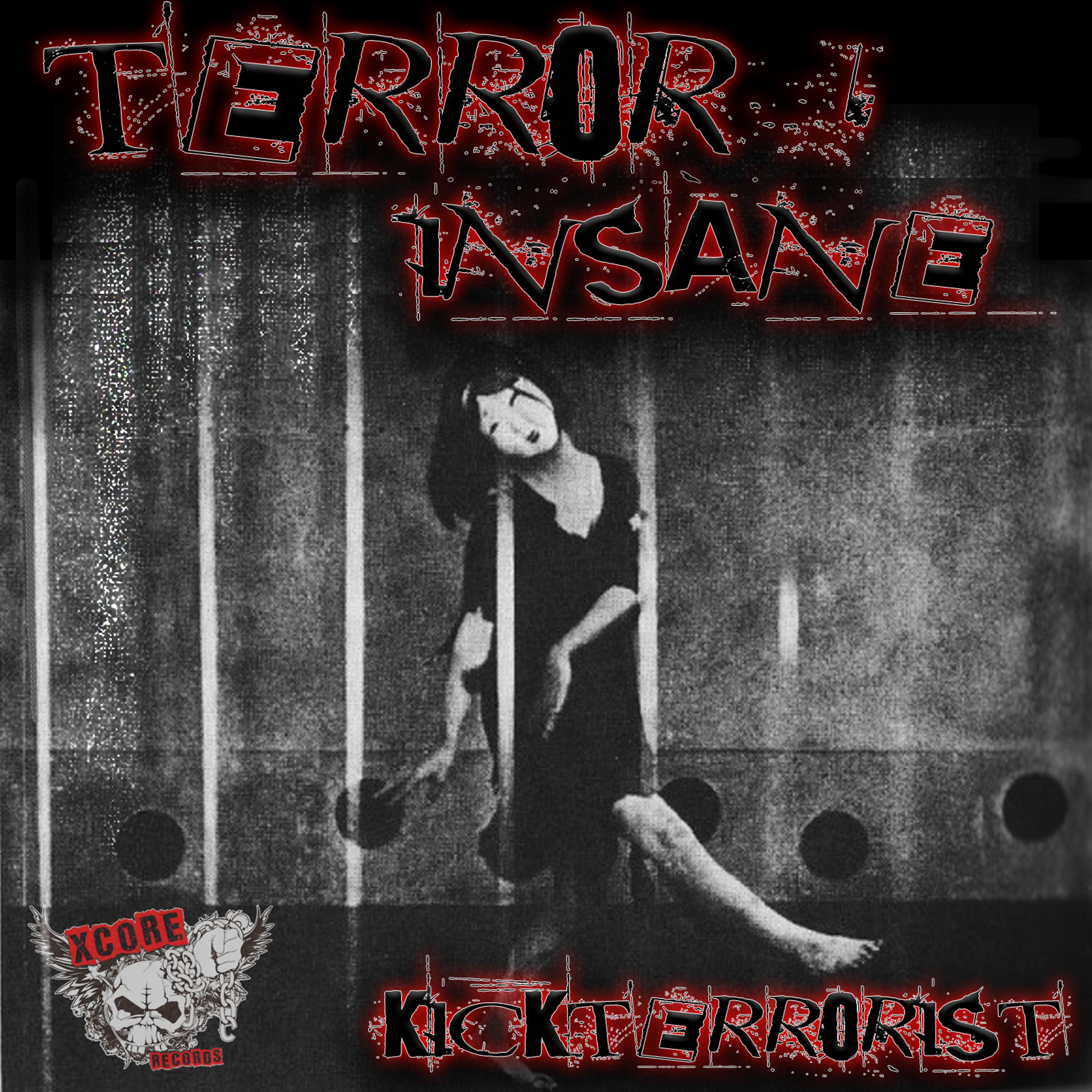 Постер альбома Terror Insane