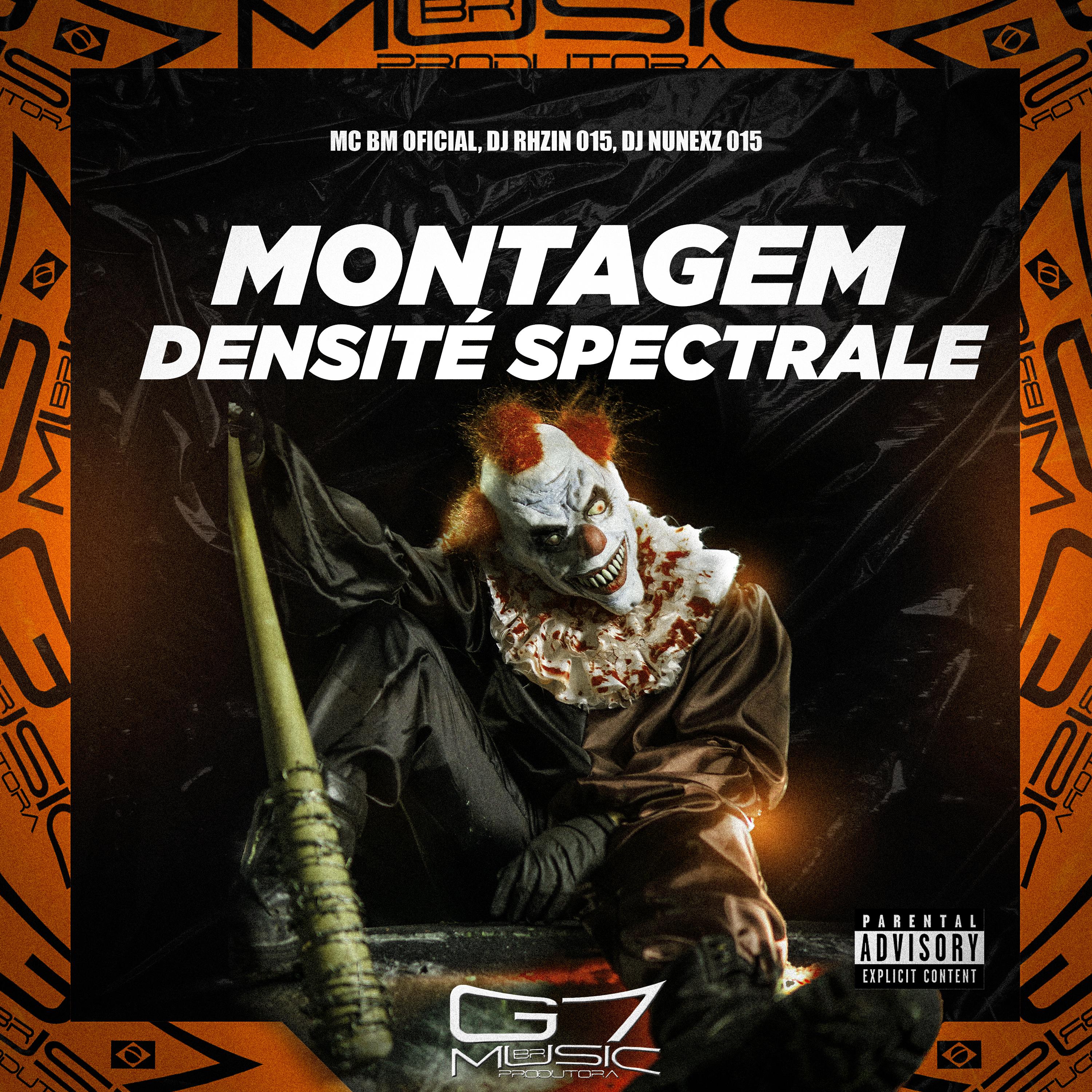 Постер альбома Montagem Densité Spectrale