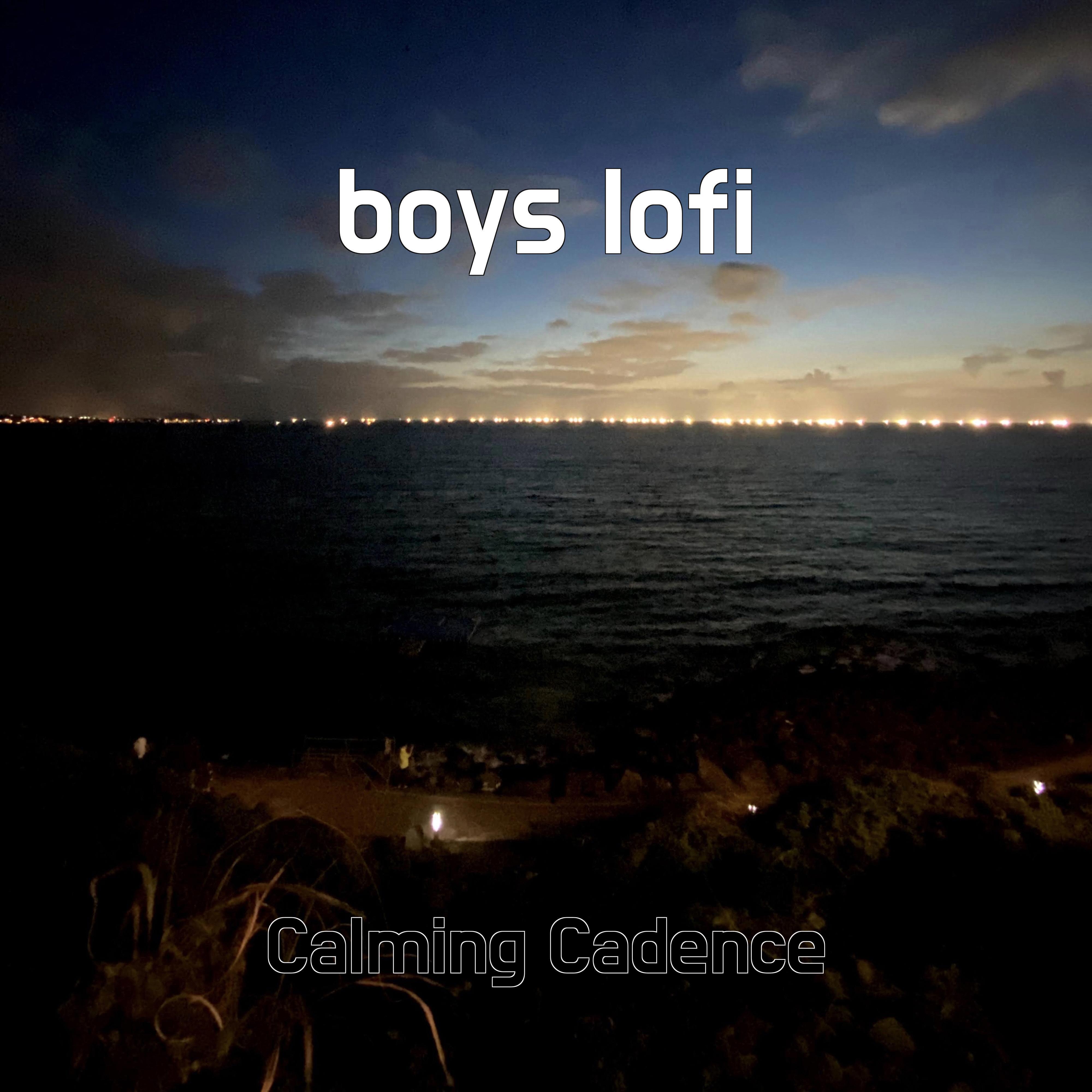Постер альбома boys lofi