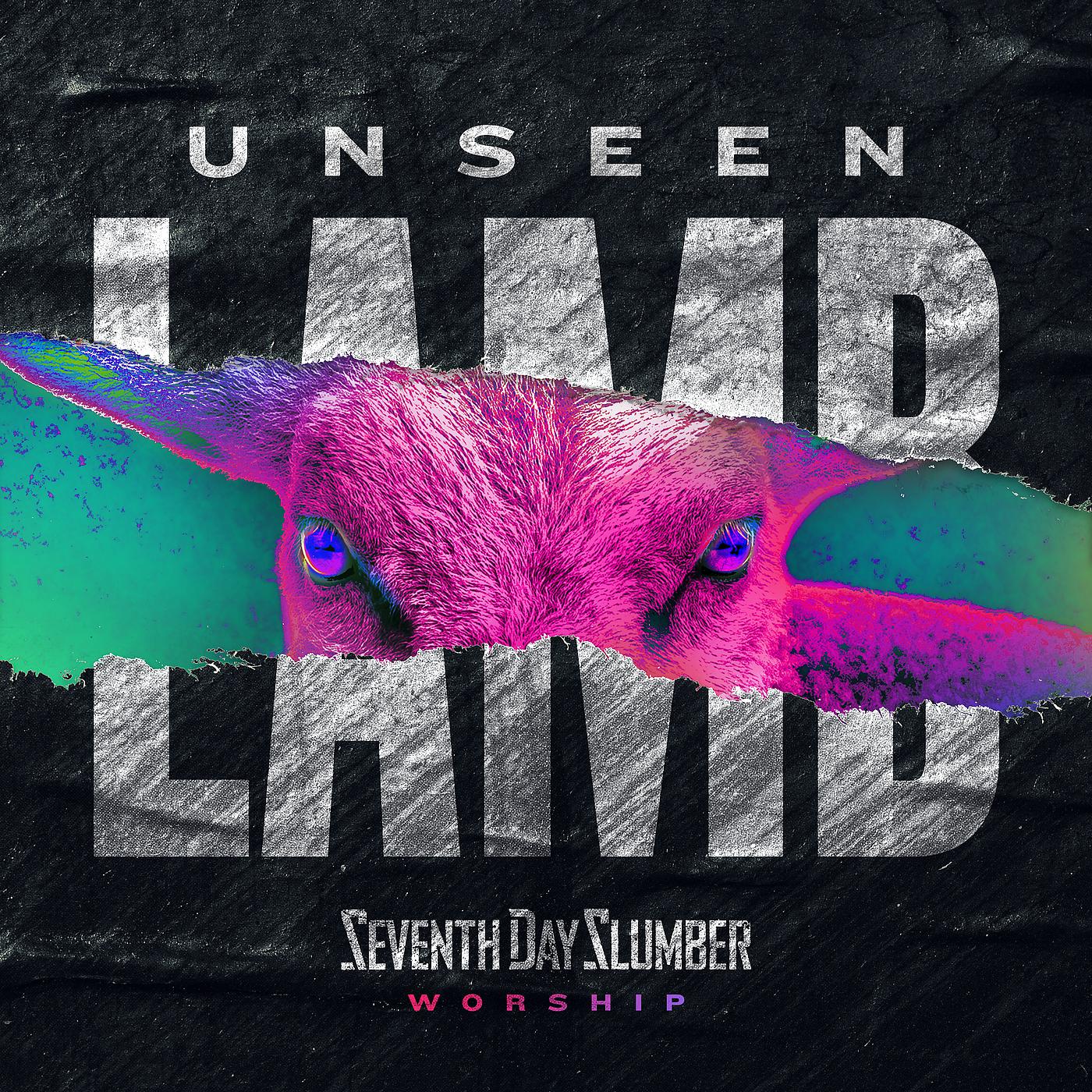 Постер альбома Unseen: The Lamb