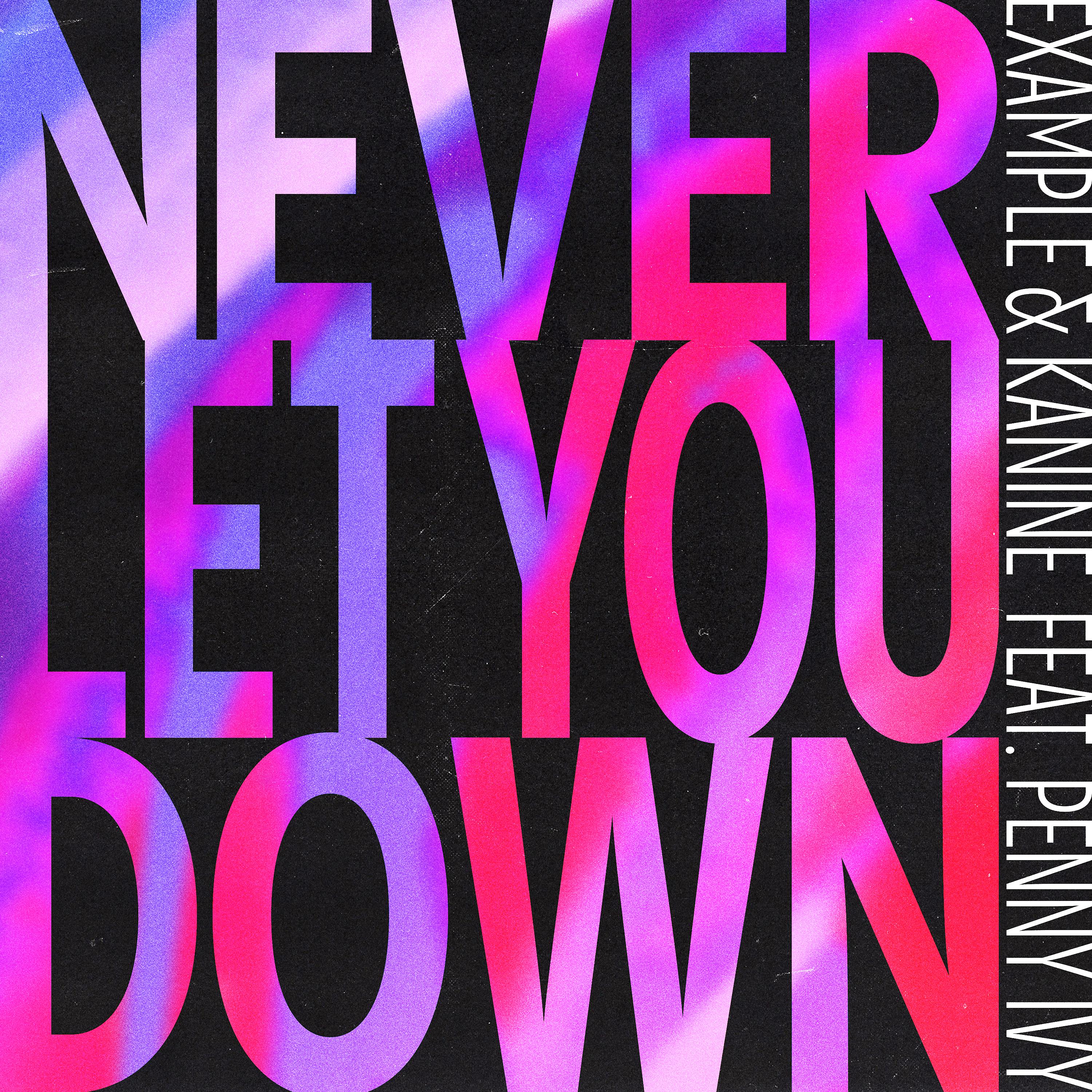 Постер альбома Never Let You Down (feat. Penny Ivy)