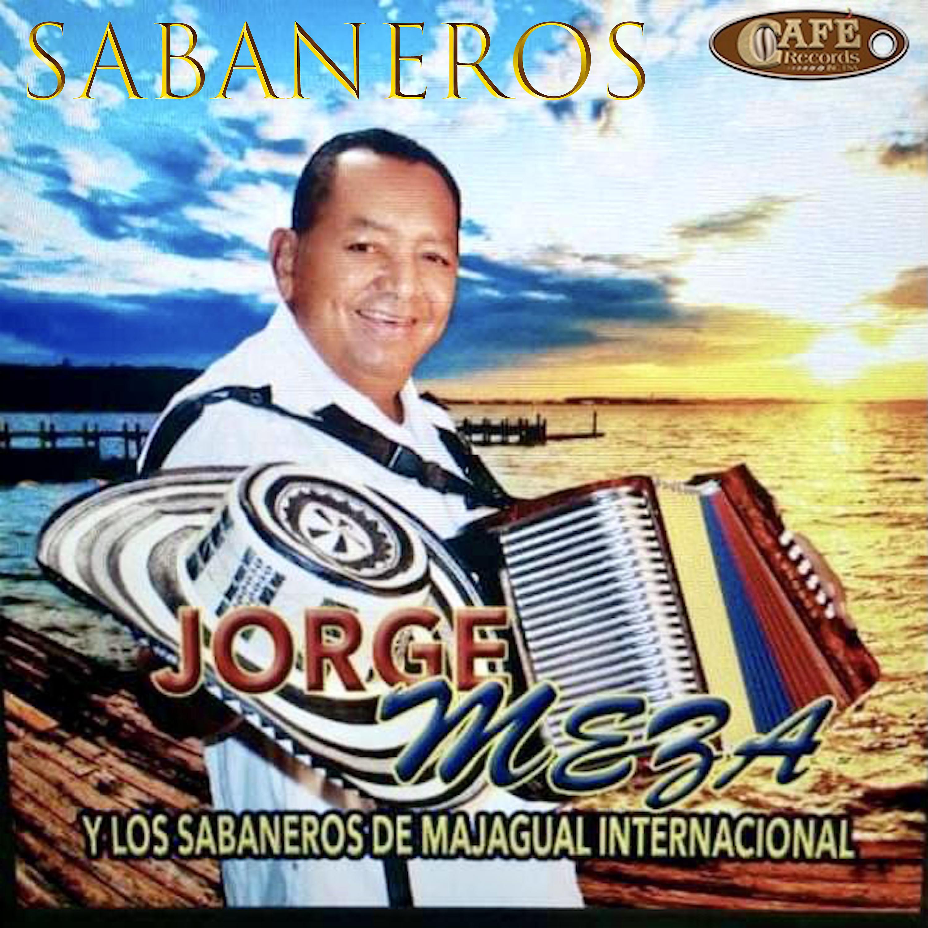 Постер альбома Sabanero