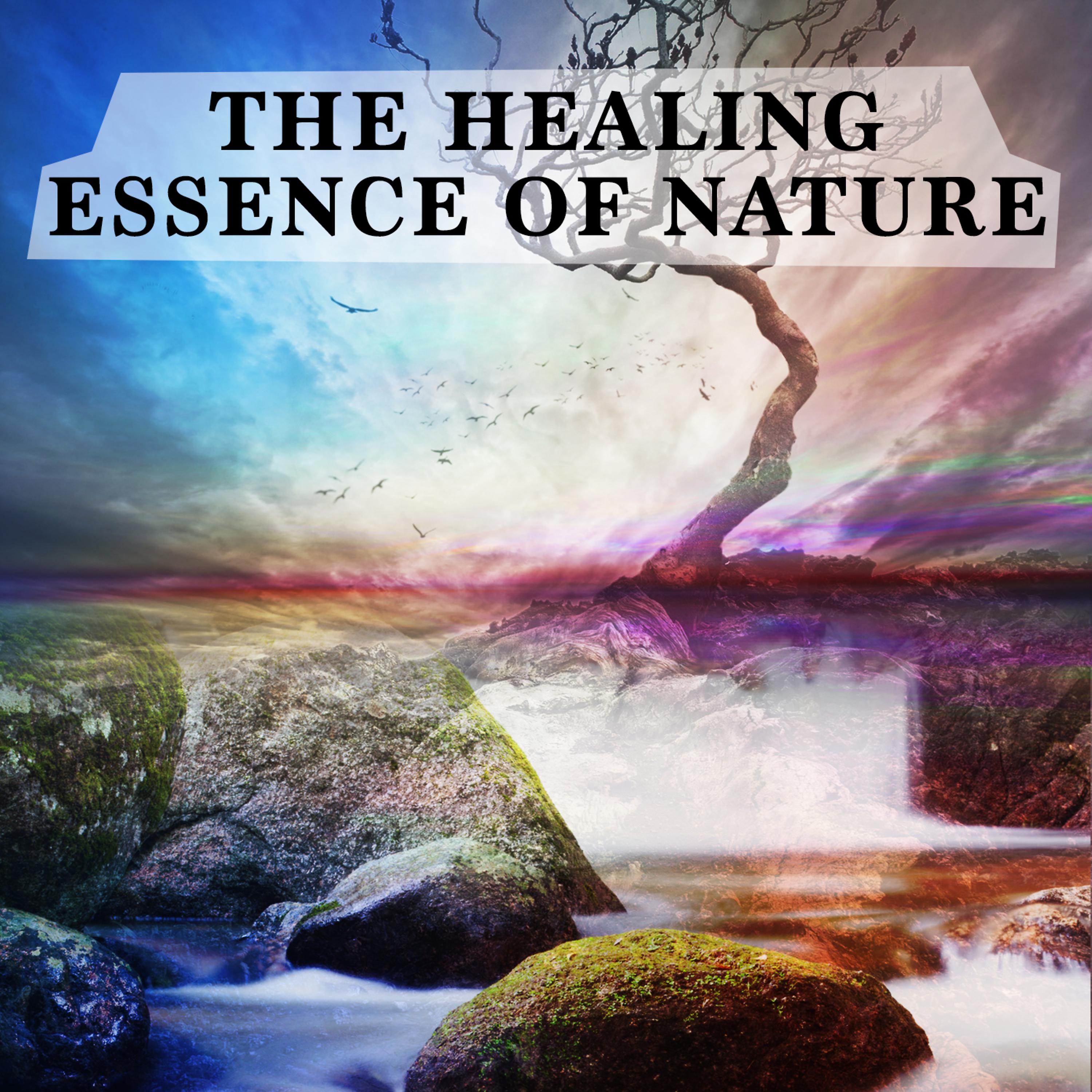 Постер альбома The Healing Essence of Nature