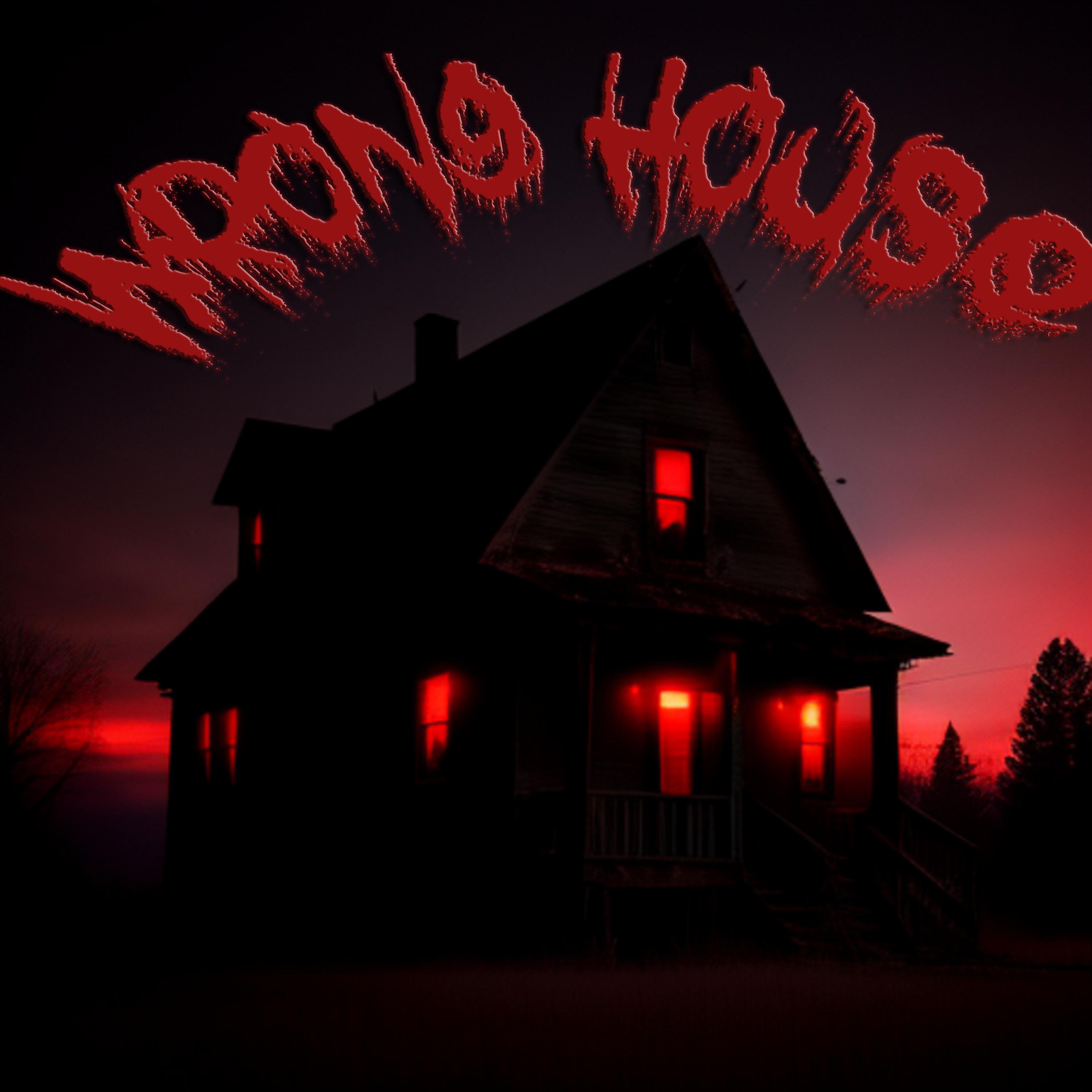 Постер альбома Wrong House