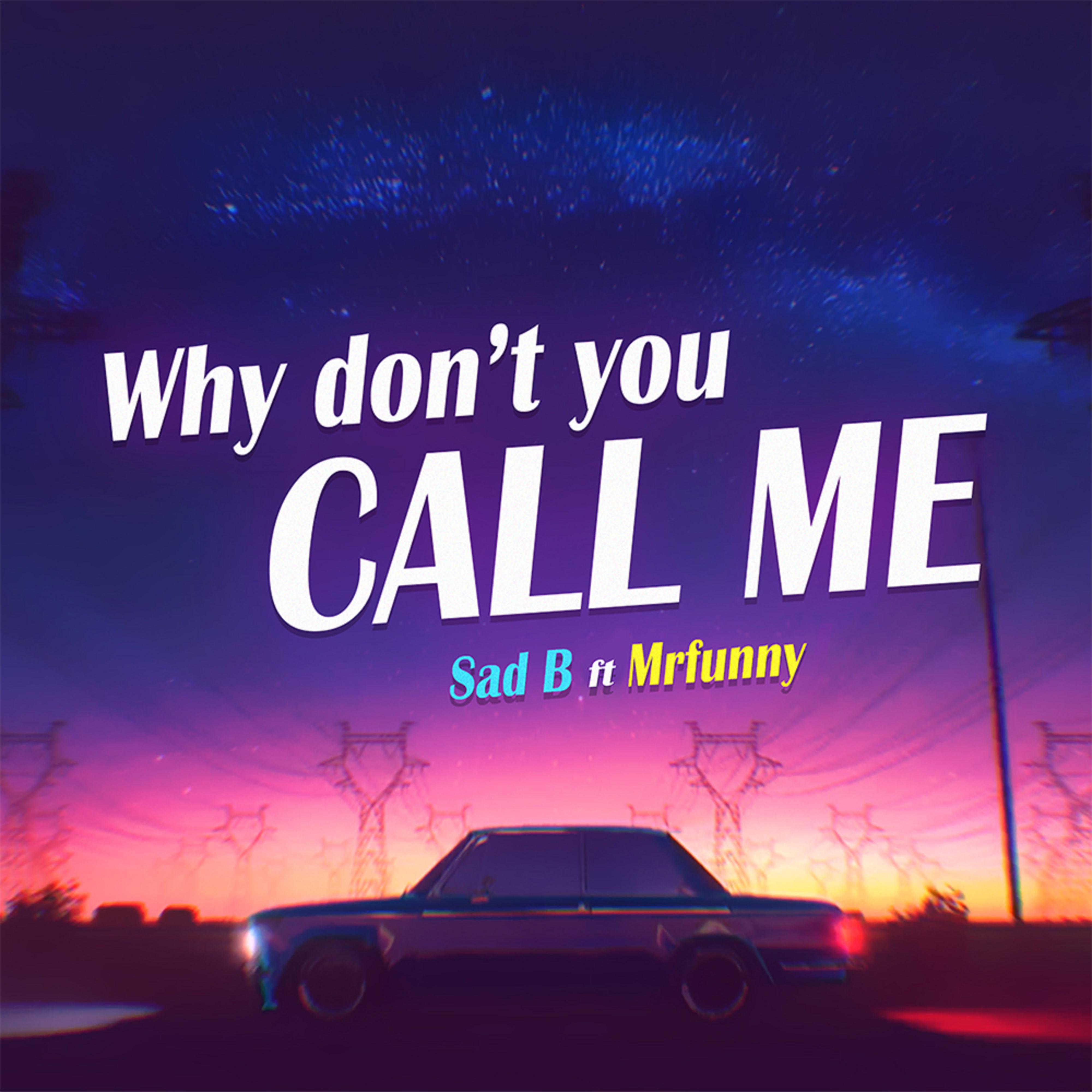Постер альбома Why Don't You Call Me