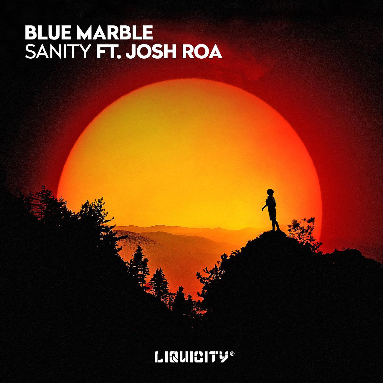 Постер альбома Sanity (Feat. Josh Roa)