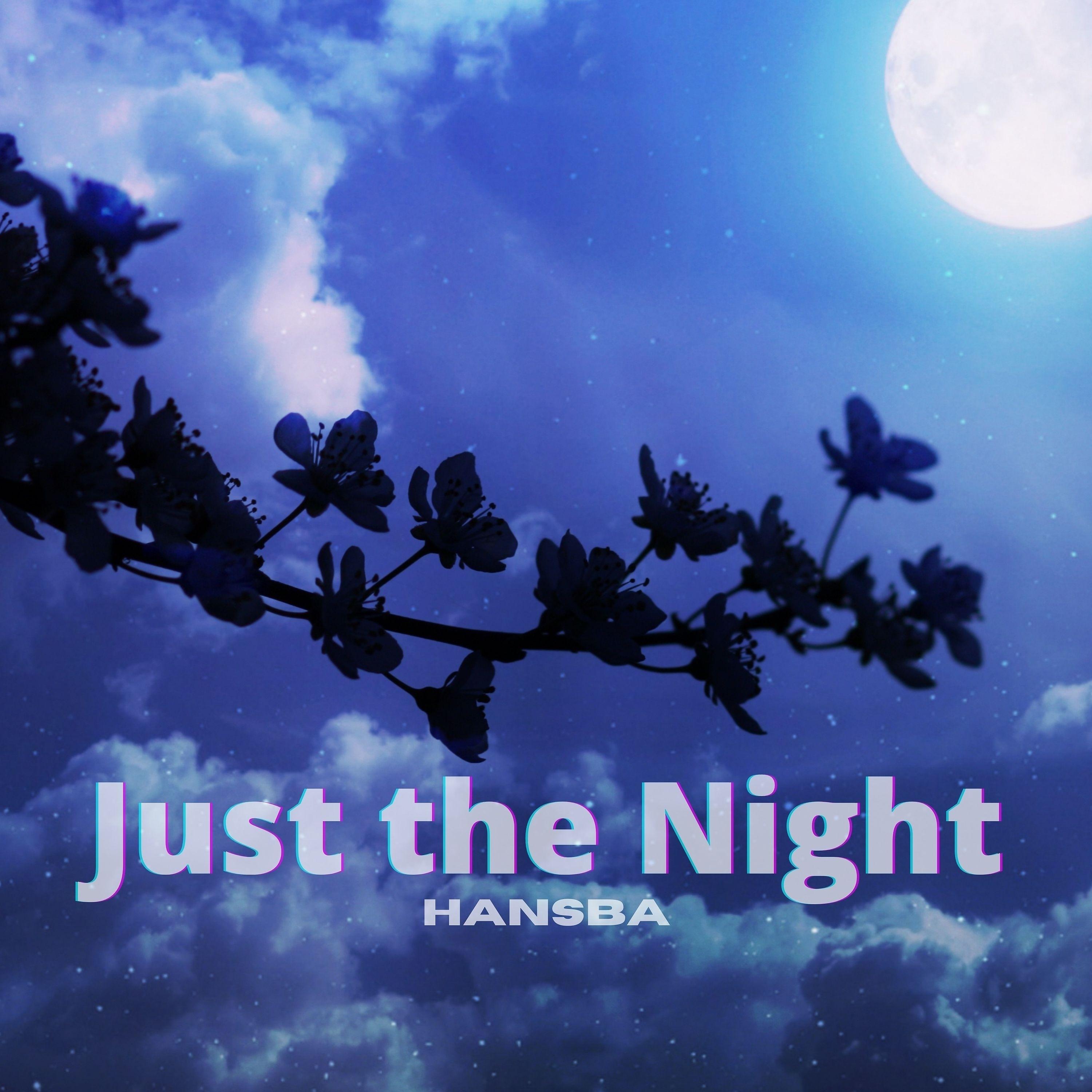 Постер альбома Just the Night