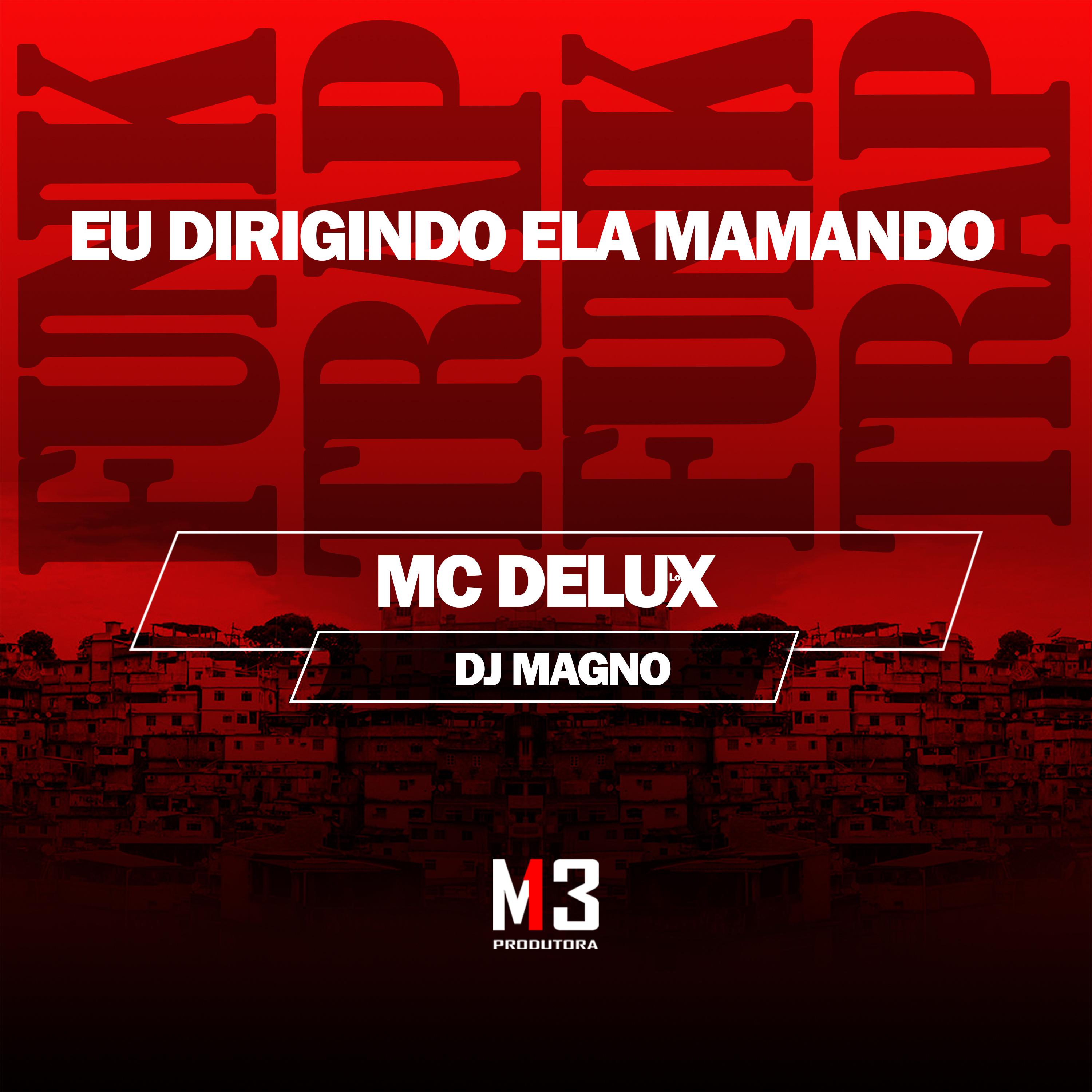 Постер альбома Eu Dirigindo Ela Mamando