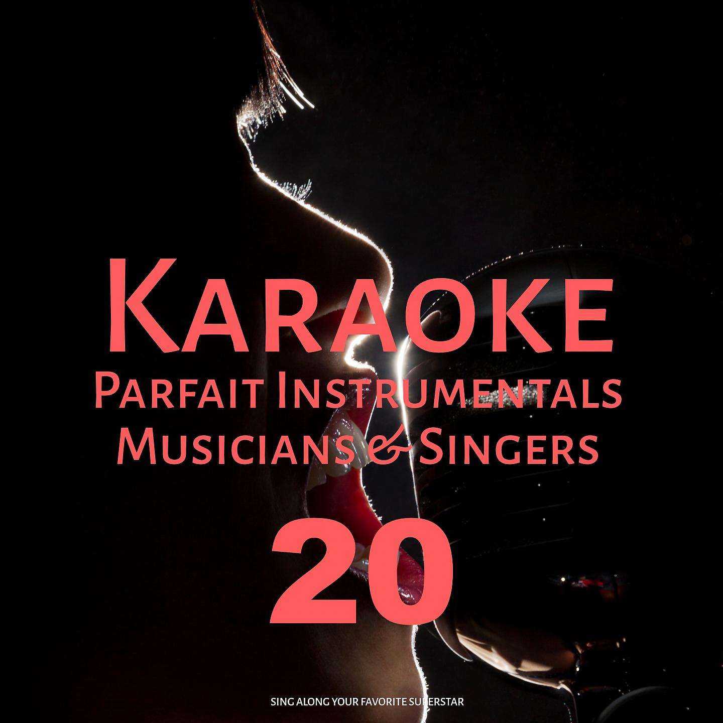 Постер альбома Karaoke Parfait Instrumentals Musicians & Singers, Vol. 20