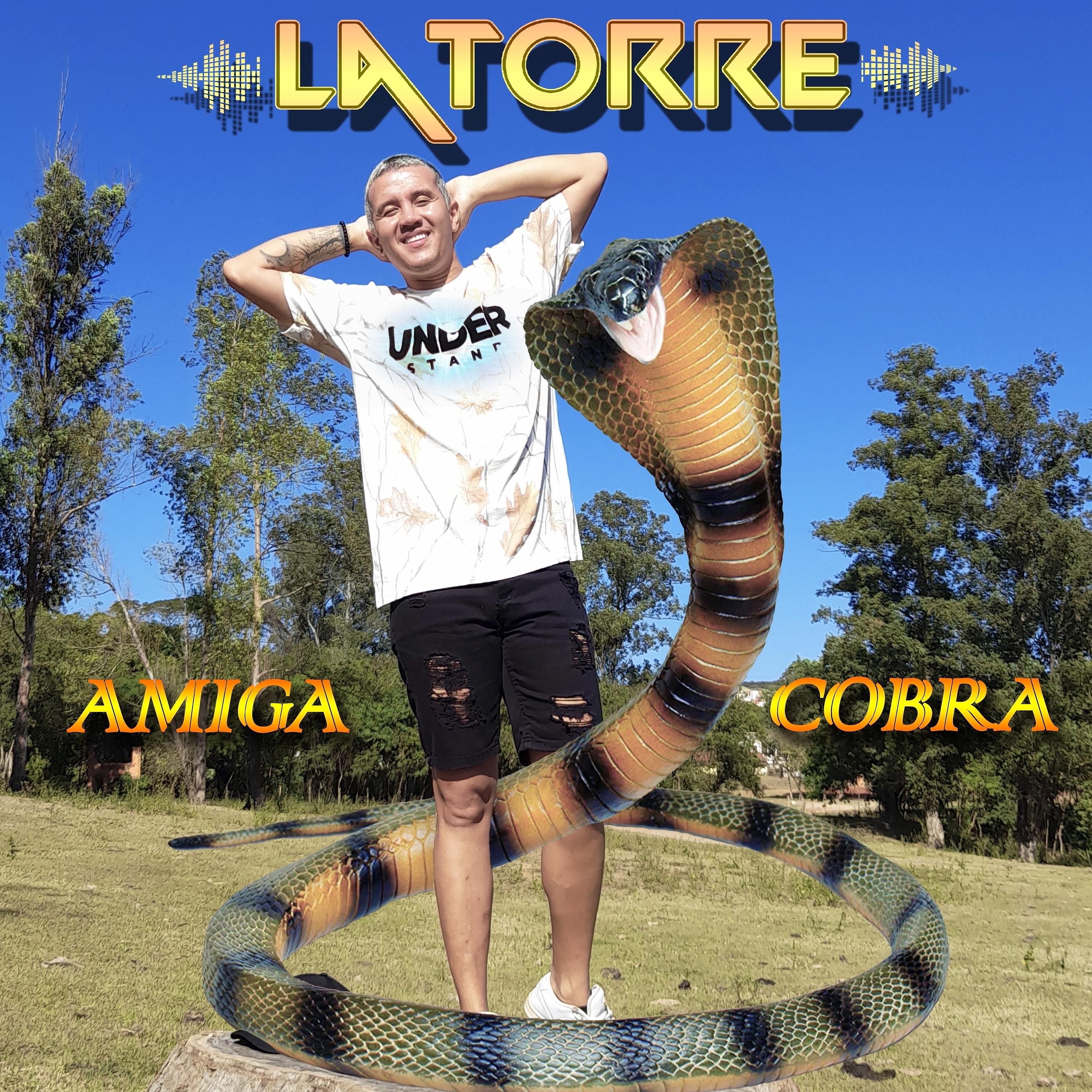 Постер альбома AMIGA COBRA