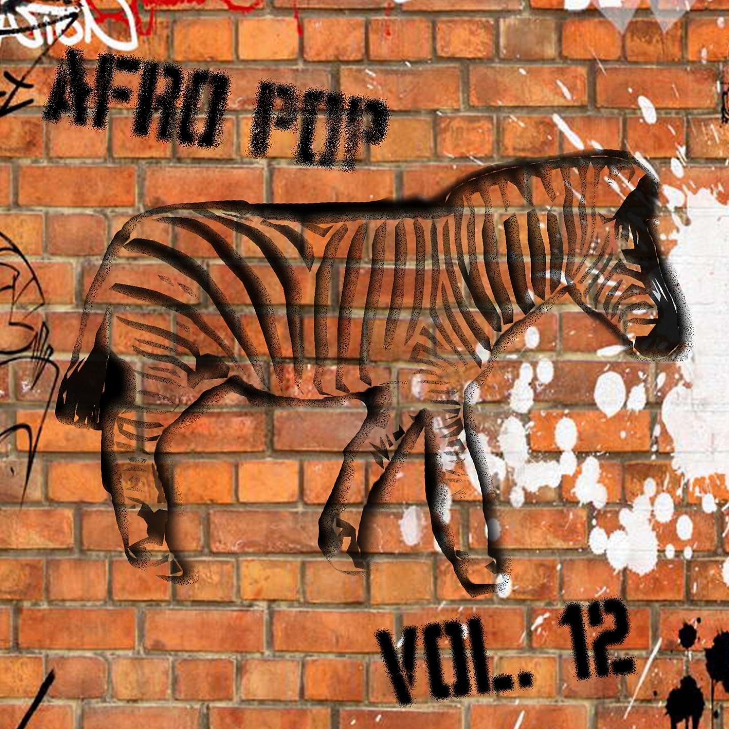 Постер альбома Afro Pop, Vol. 12