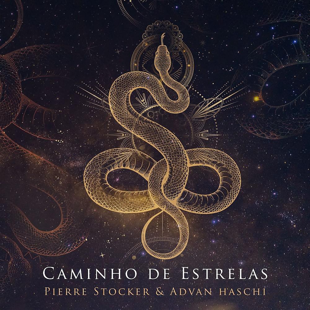 Постер альбома Caminho de Estrelas