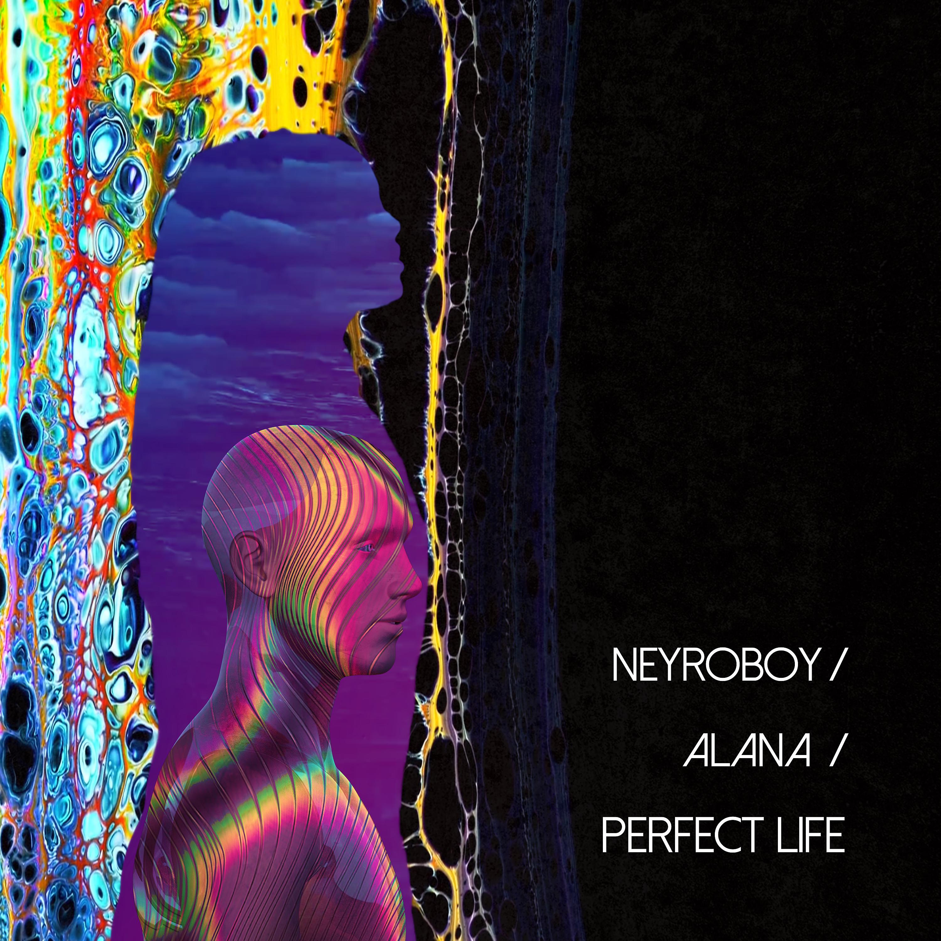Постер альбома Perfect Life