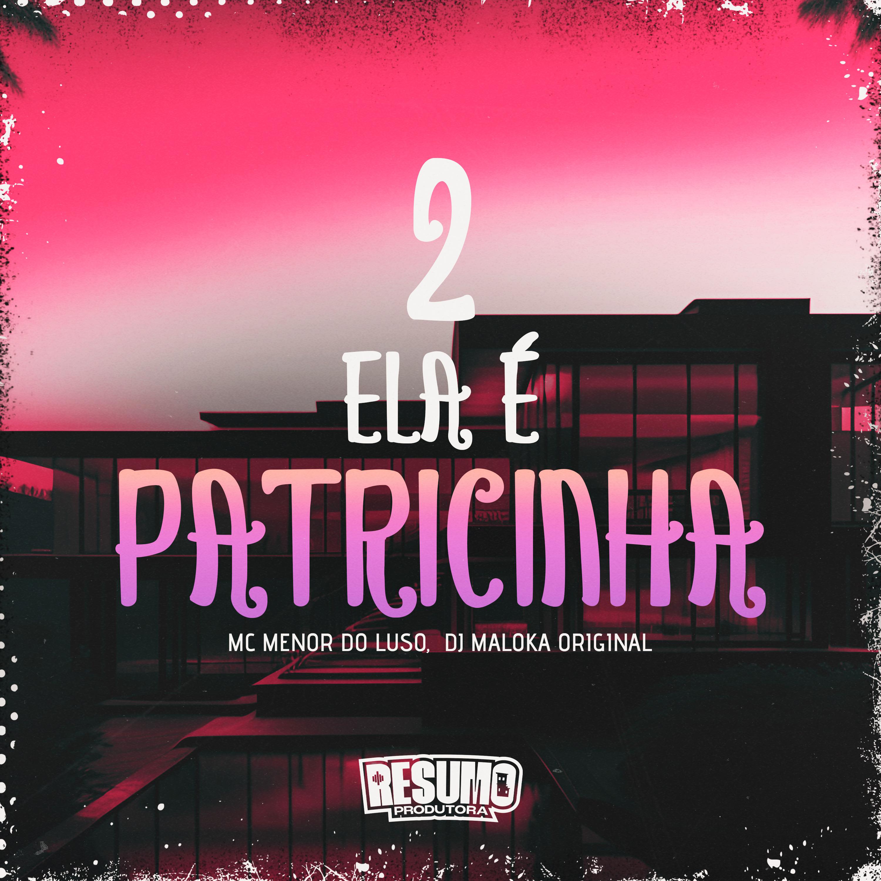 Постер альбома Ela É Patricinha 2