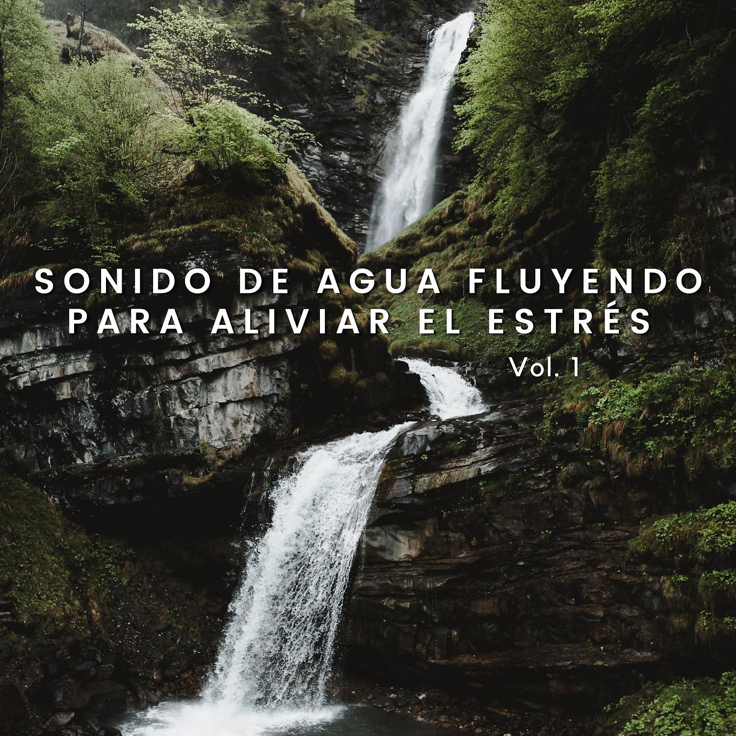 Постер альбома Sonido De Agua Fluyendo Para Aliviar El Estrés Vol. 1