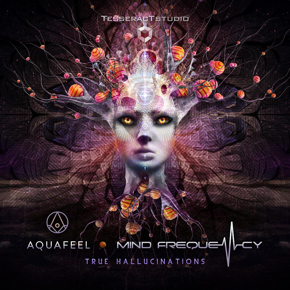 Постер альбома True Hallucinations