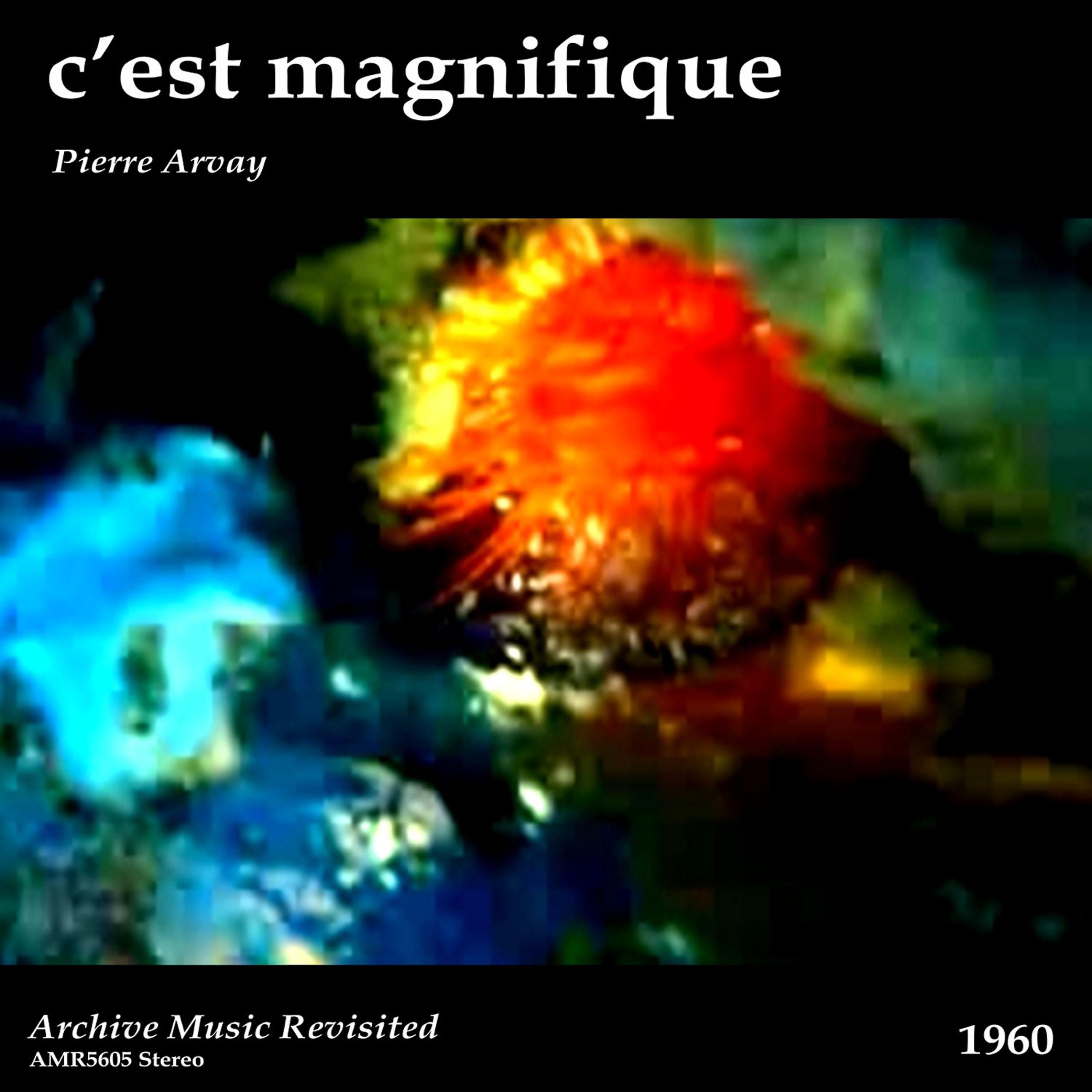 Постер альбома C'est Magnifique