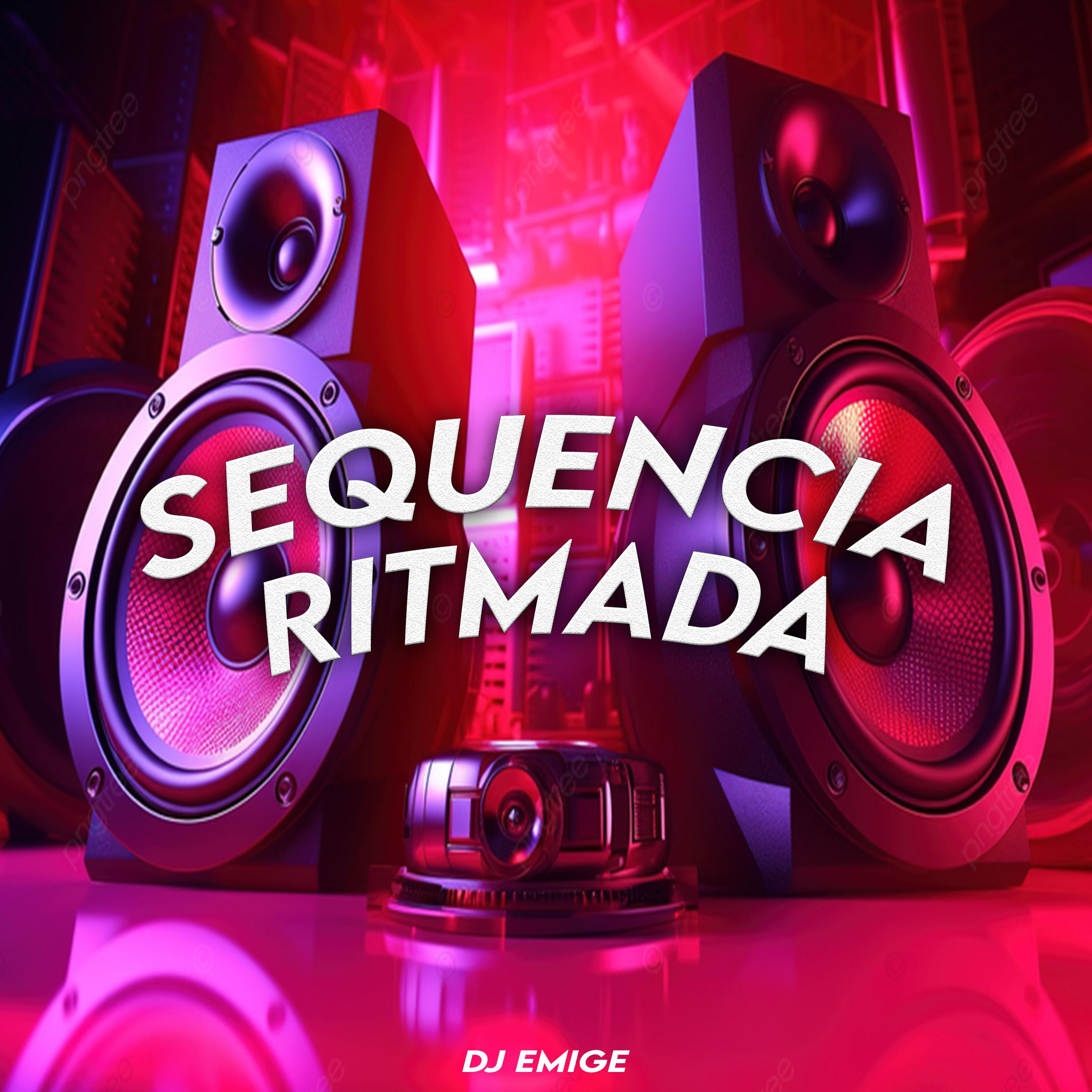 Постер альбома Sequência Ritmada