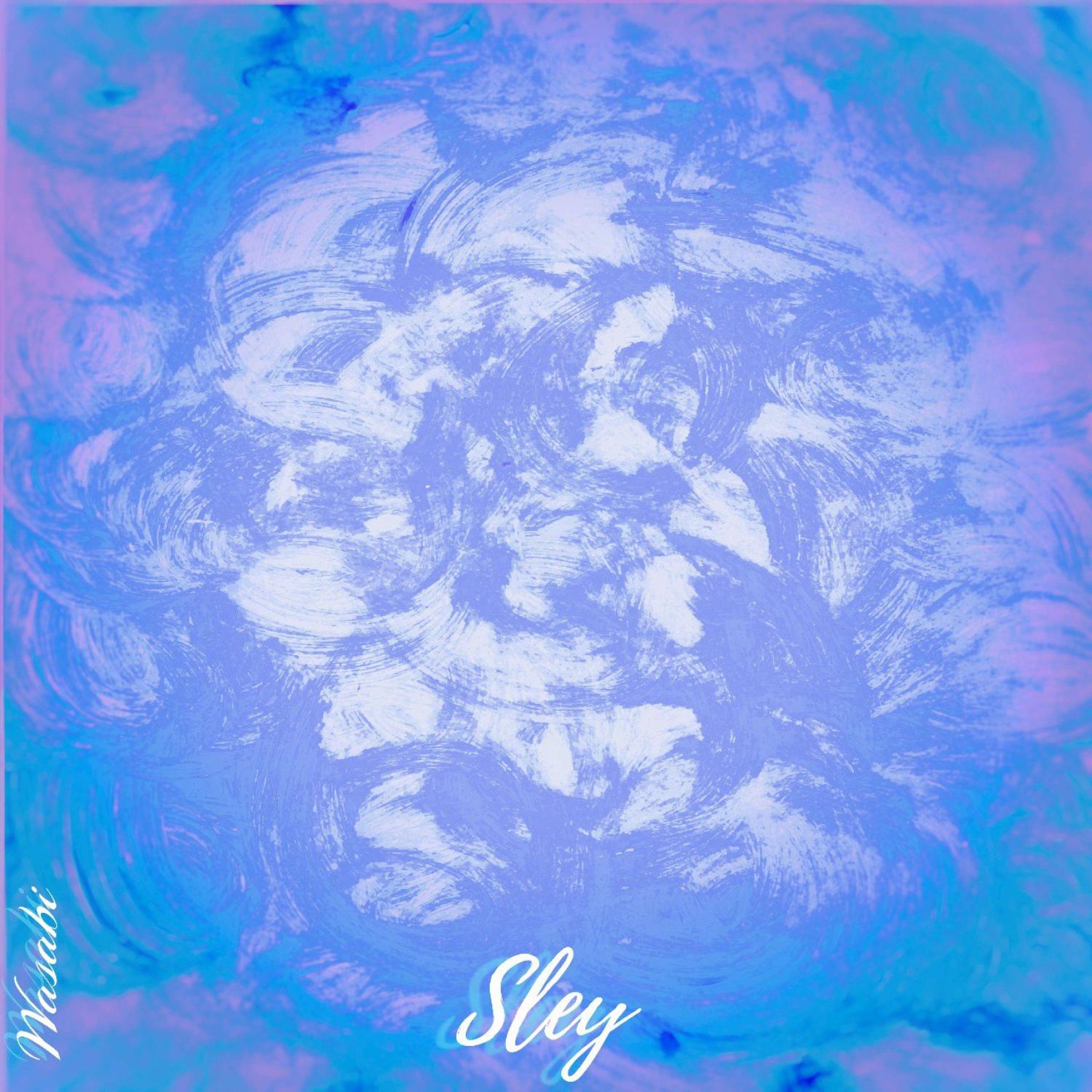 Постер альбома Sley