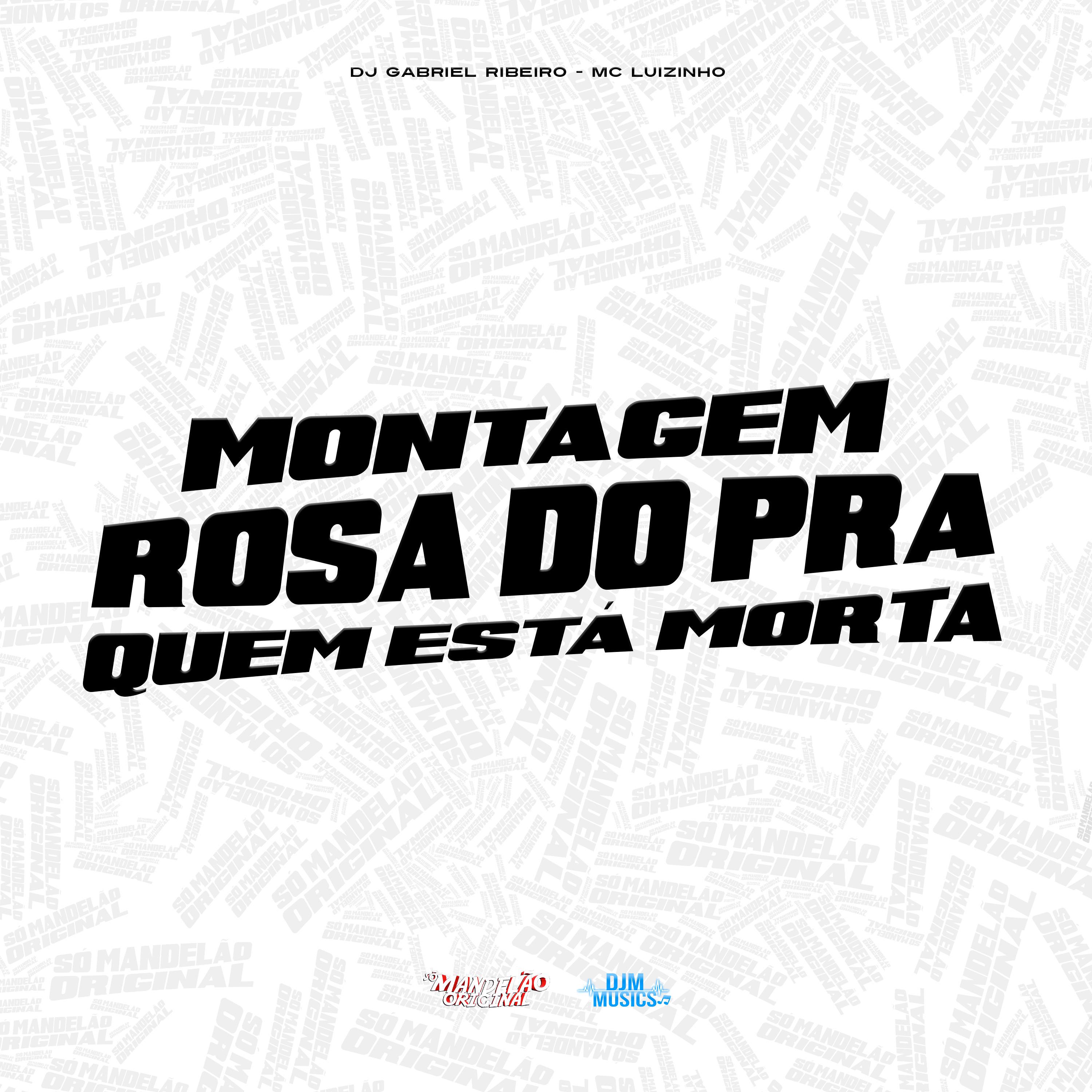 Постер альбома Montagem -Rosa do pra Quem Ta Morta