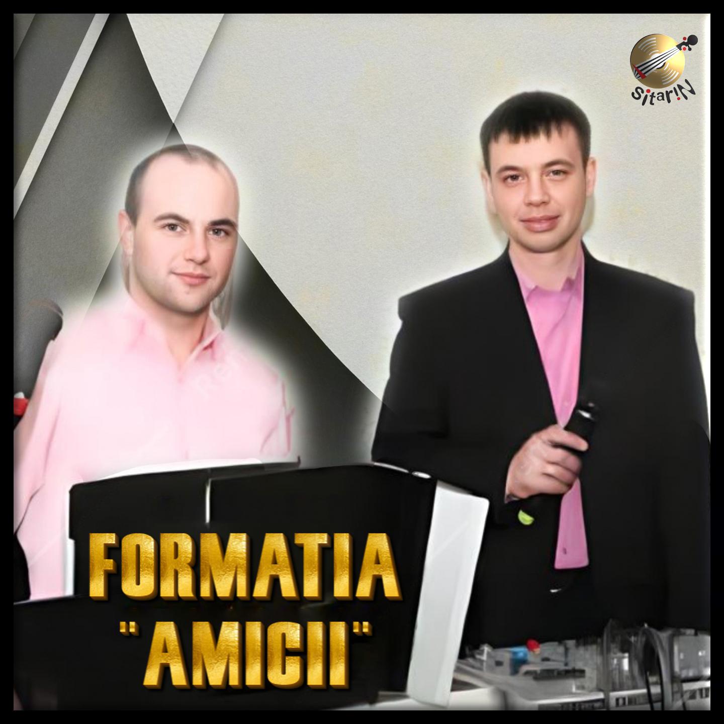 Постер альбома Formatia Amicii, Vol. 3