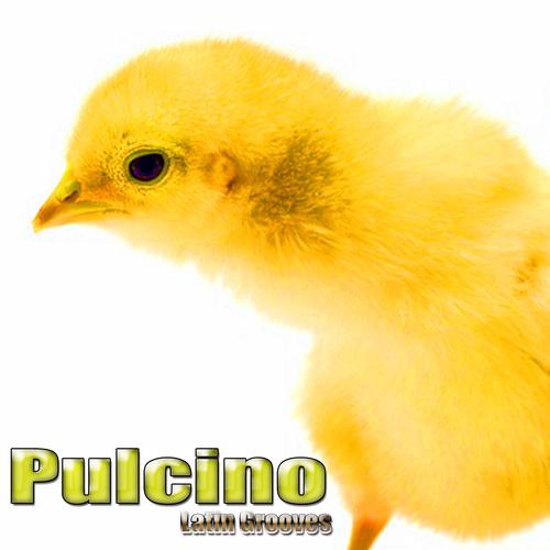 Постер альбома Pulcino