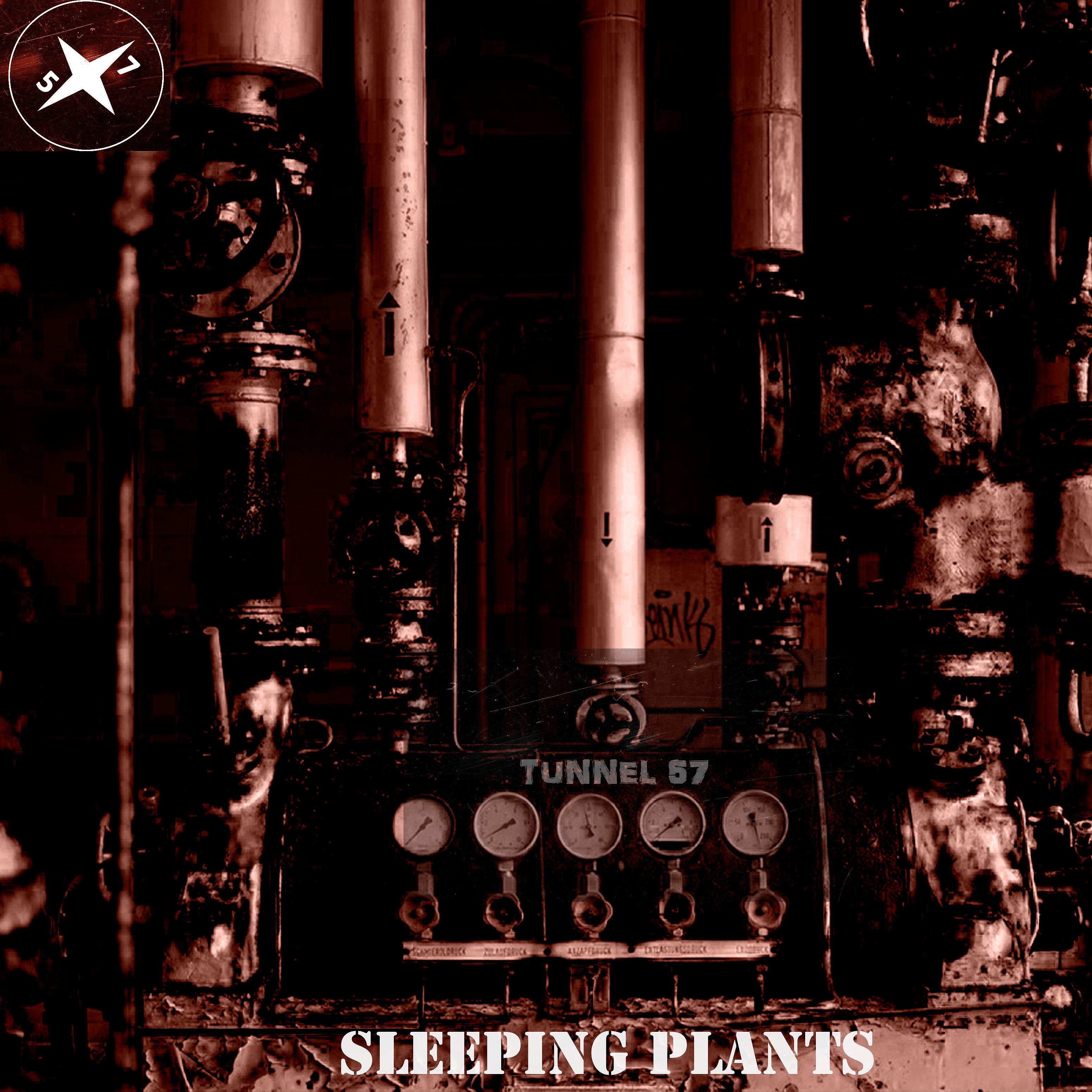 Постер альбома Sleeping Plants