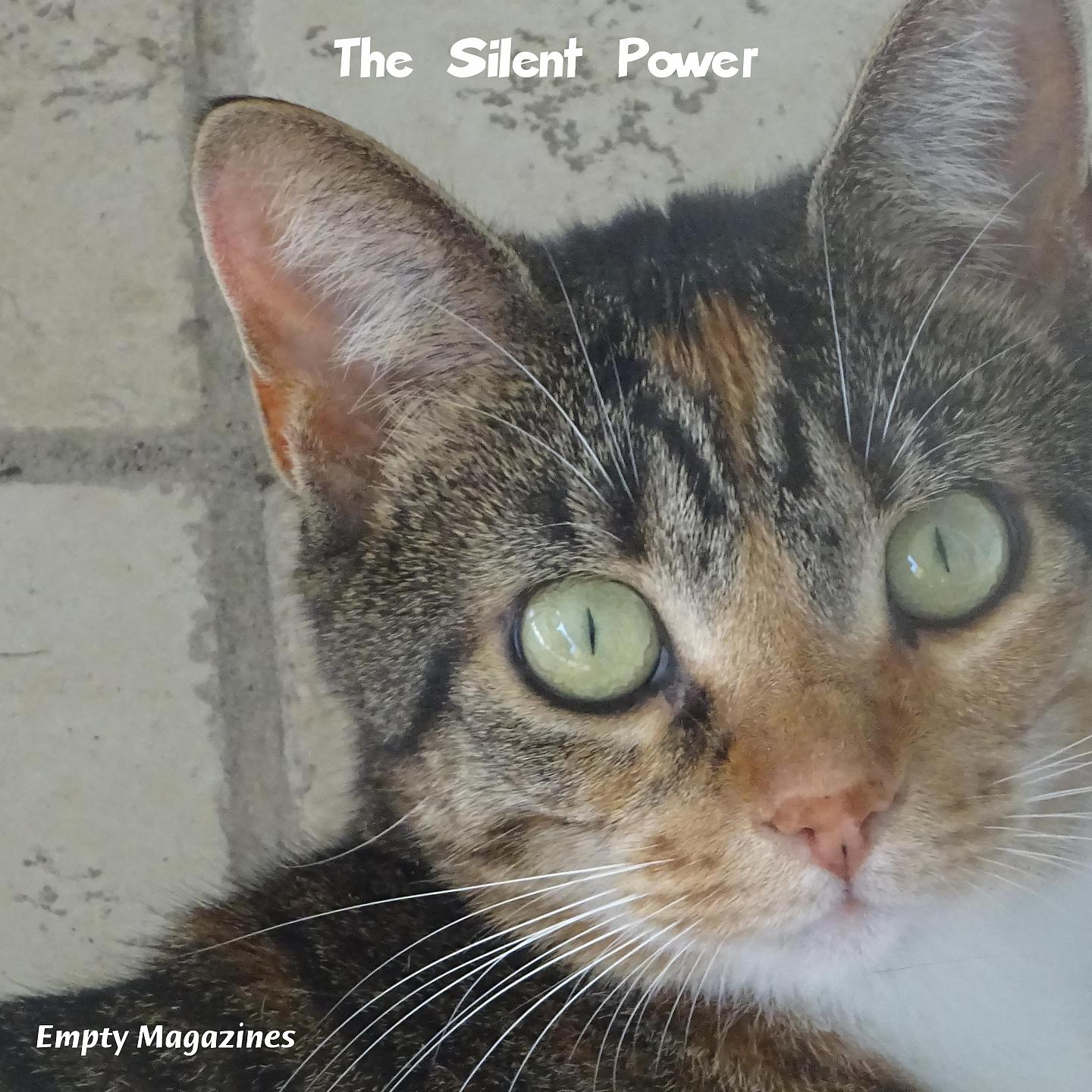 Постер альбома The Silent Power