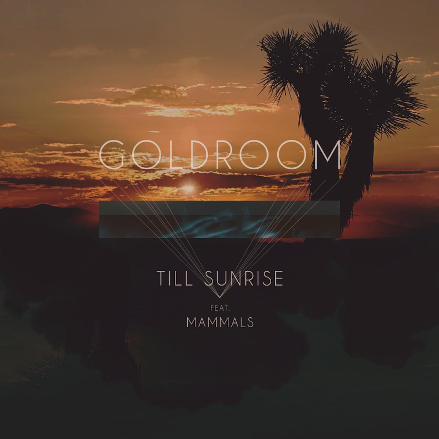 Постер альбома Till Sunrise (feat. Mammals)