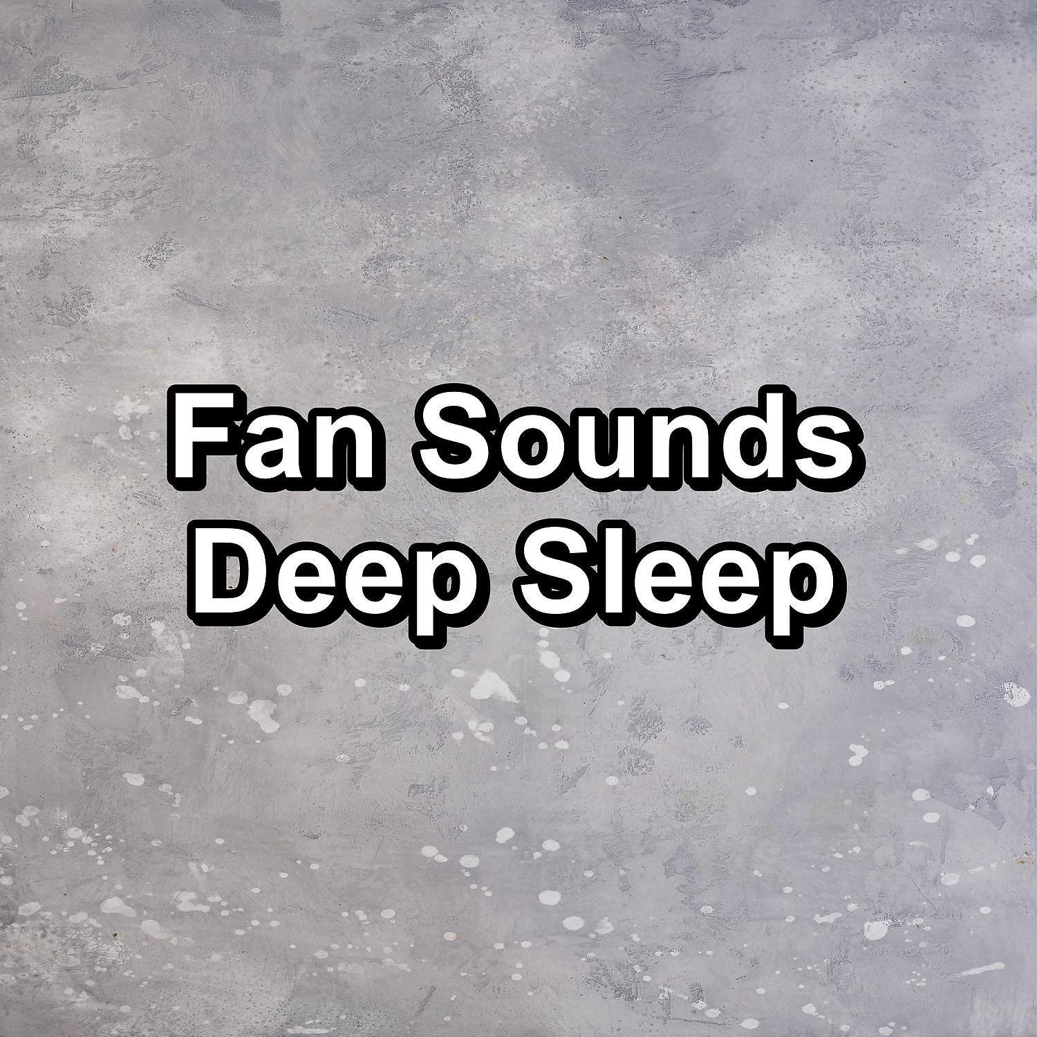 Постер альбома Fan Sounds Deep Sleep
