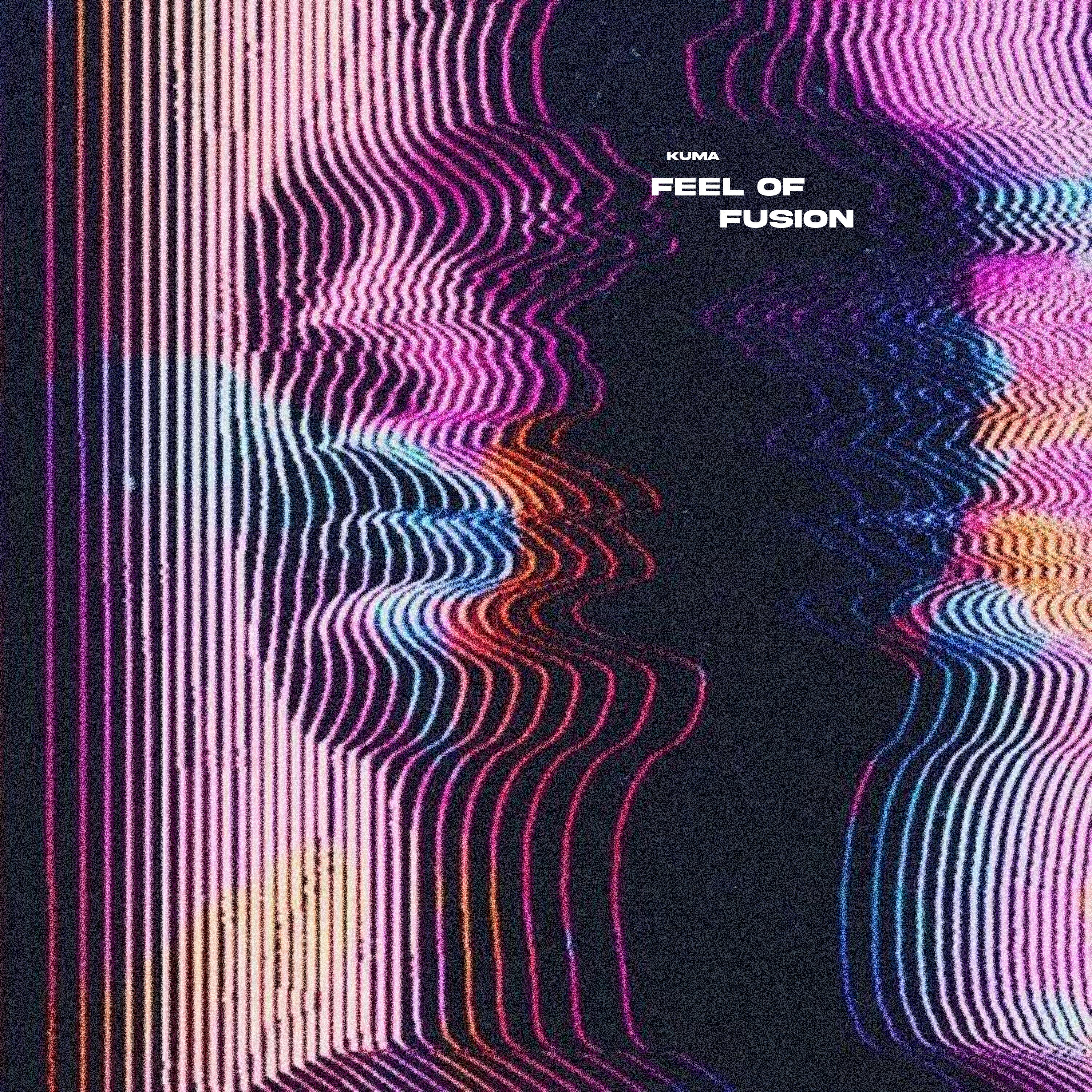 Постер альбома Feel of Fusion