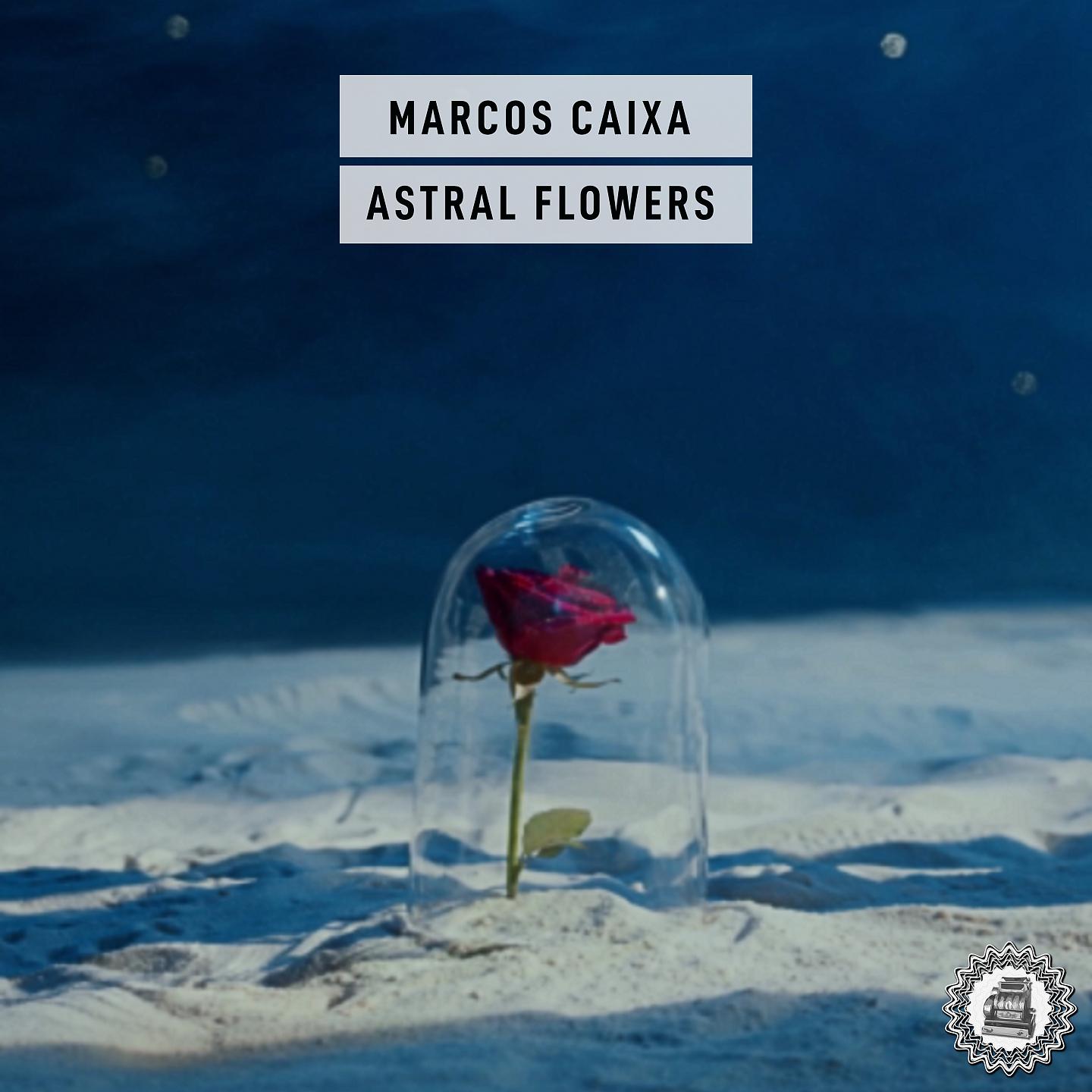 Постер альбома Astral Flowers
