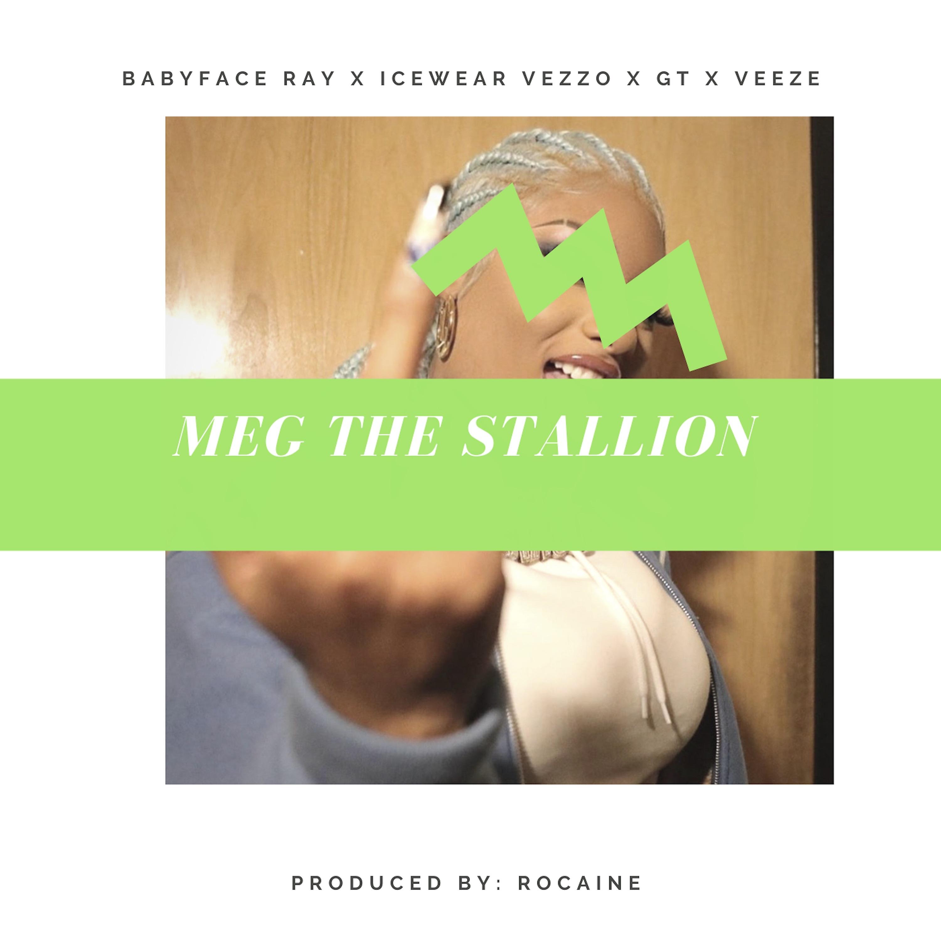 Постер альбома Meg The Stallion (feat. Veeze)