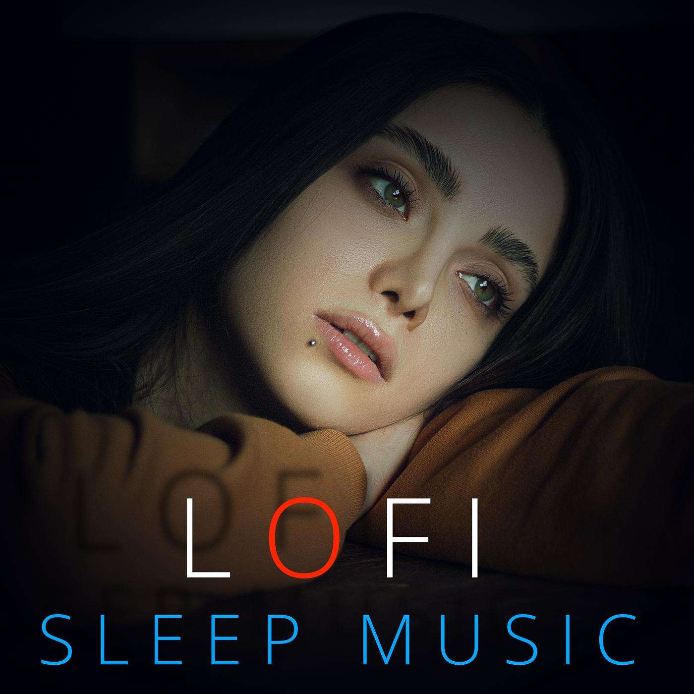 Постер альбома Lofi Sleep Music